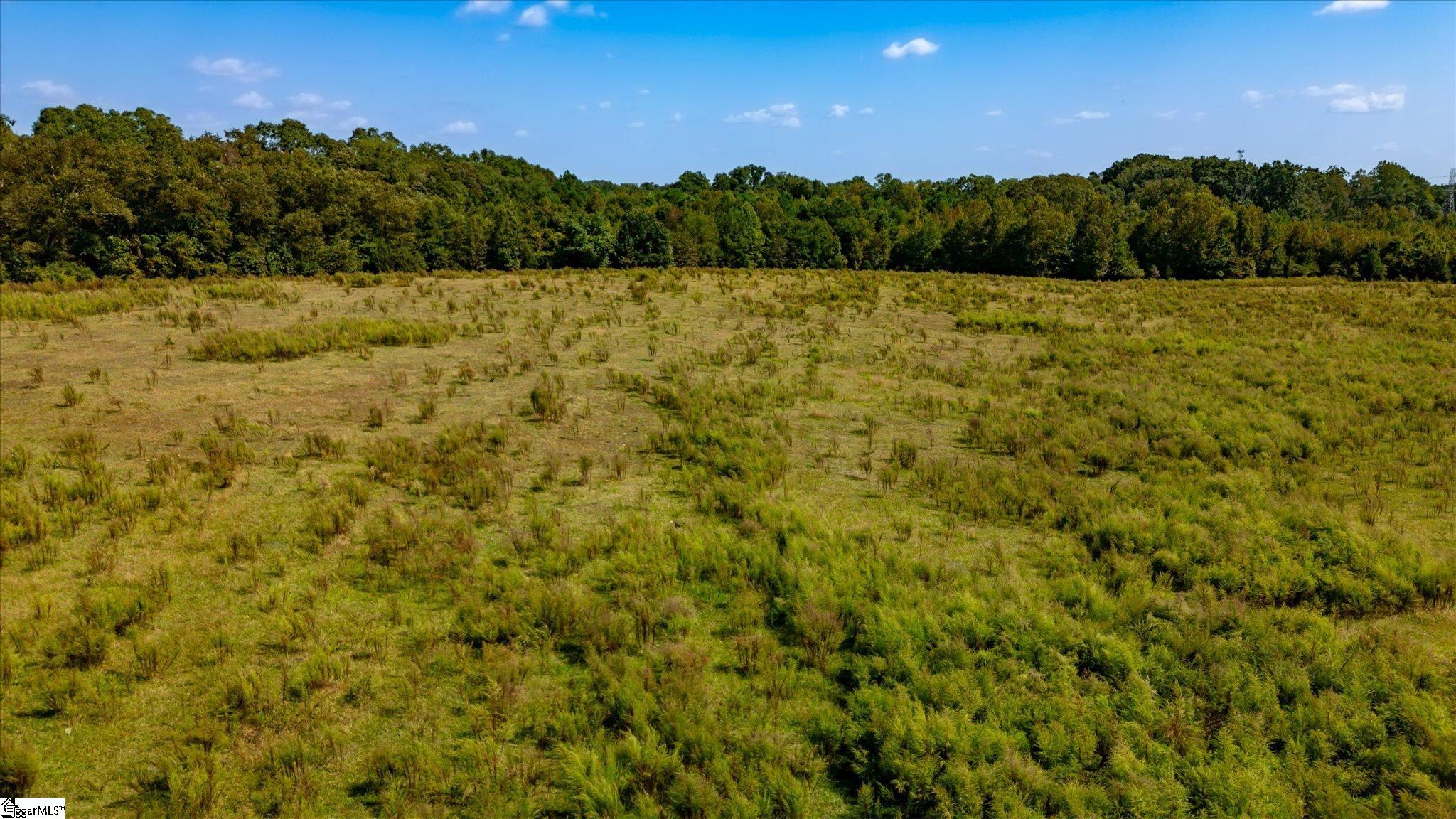 169 Cooley Bridge Road Pelzer, SC 29669