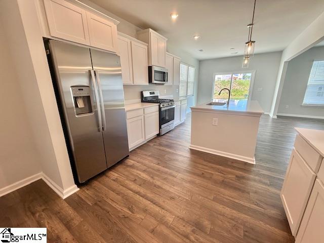 1625 Savanna Mills Drive Spartanburg, SC 29303