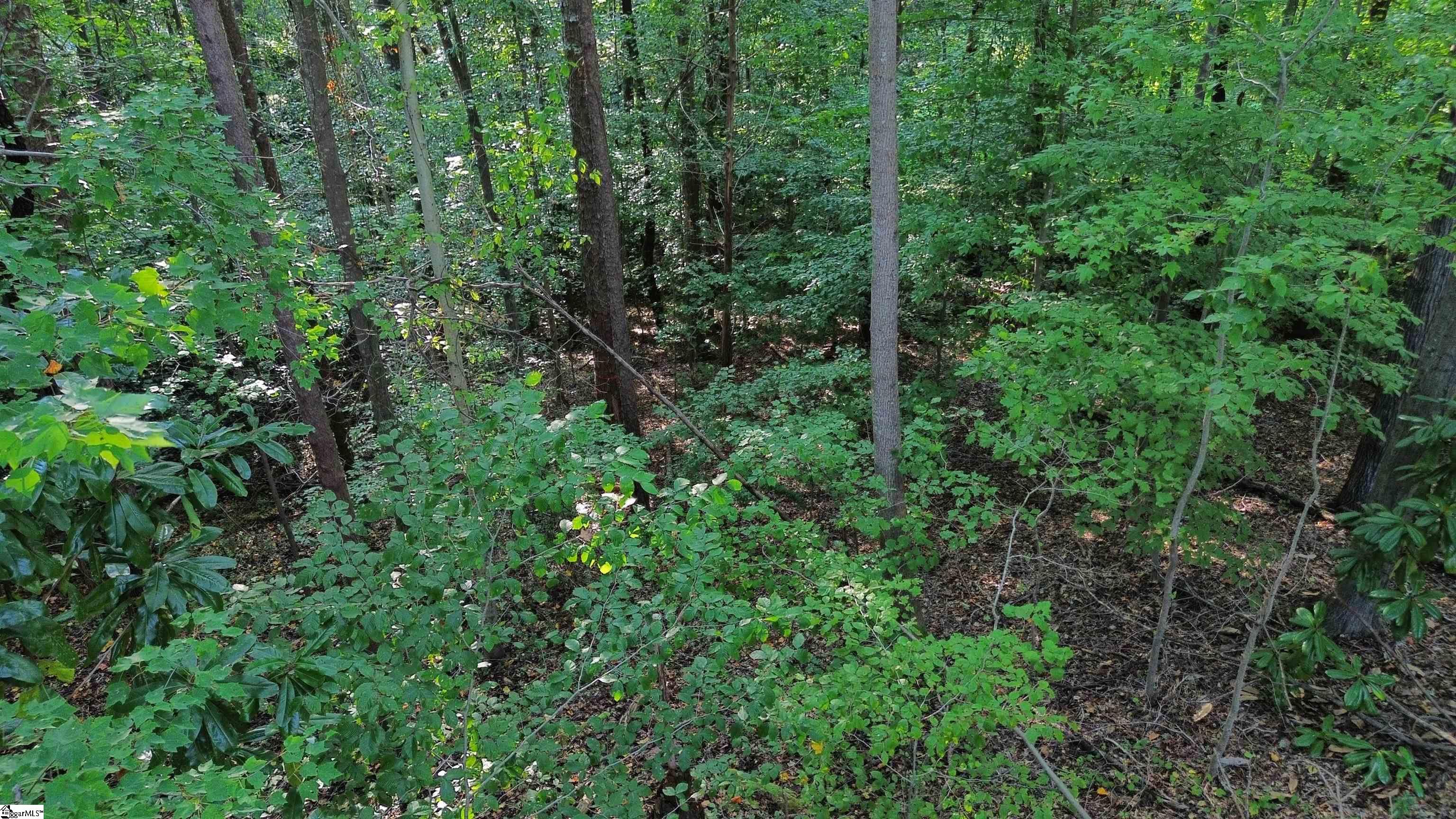 210 Saratoga Avenue Spartanburg, SC 29302
