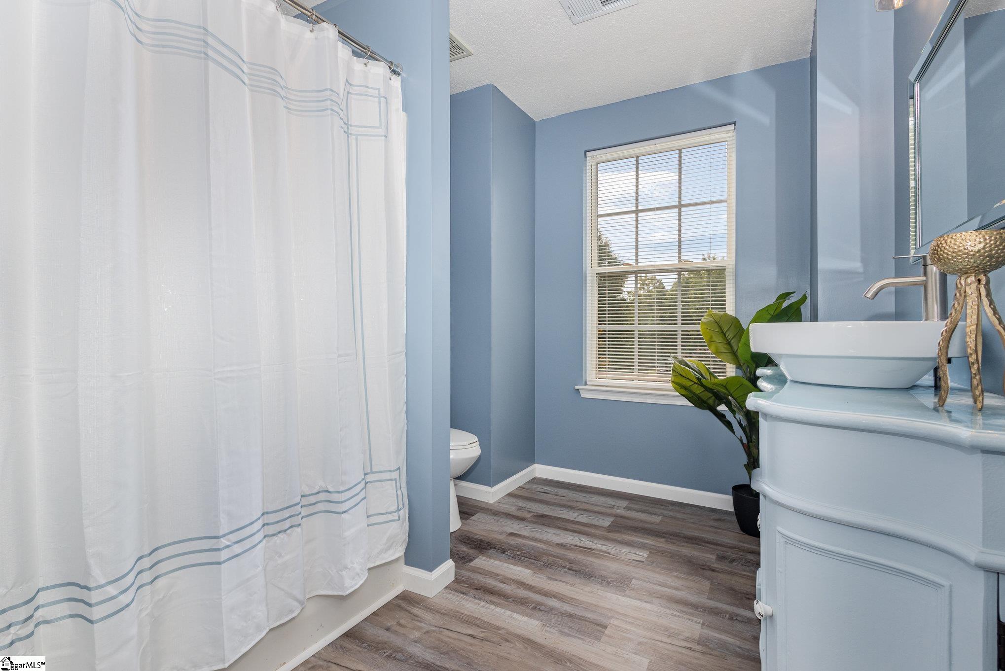 16 Mockernut Court Taylors, SC 29687-5864