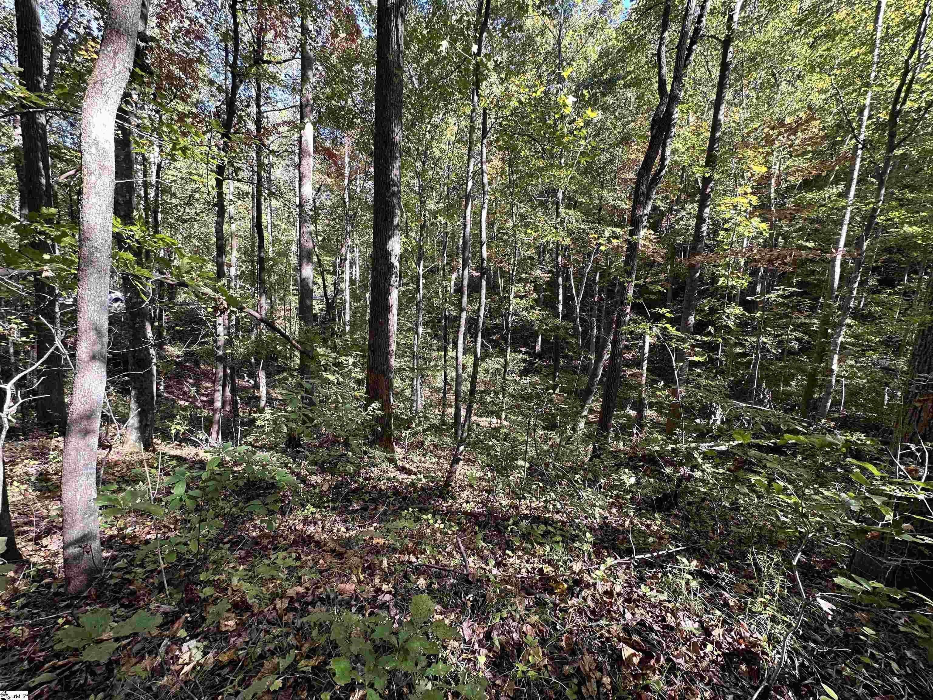 0000 Forest Drive Travelers Rest, SC 29690