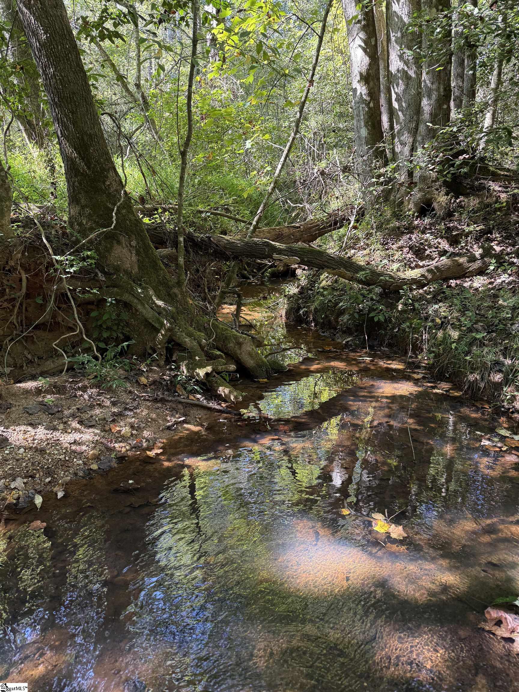 249 Cedar Hill Road Six Mile, SC 29682