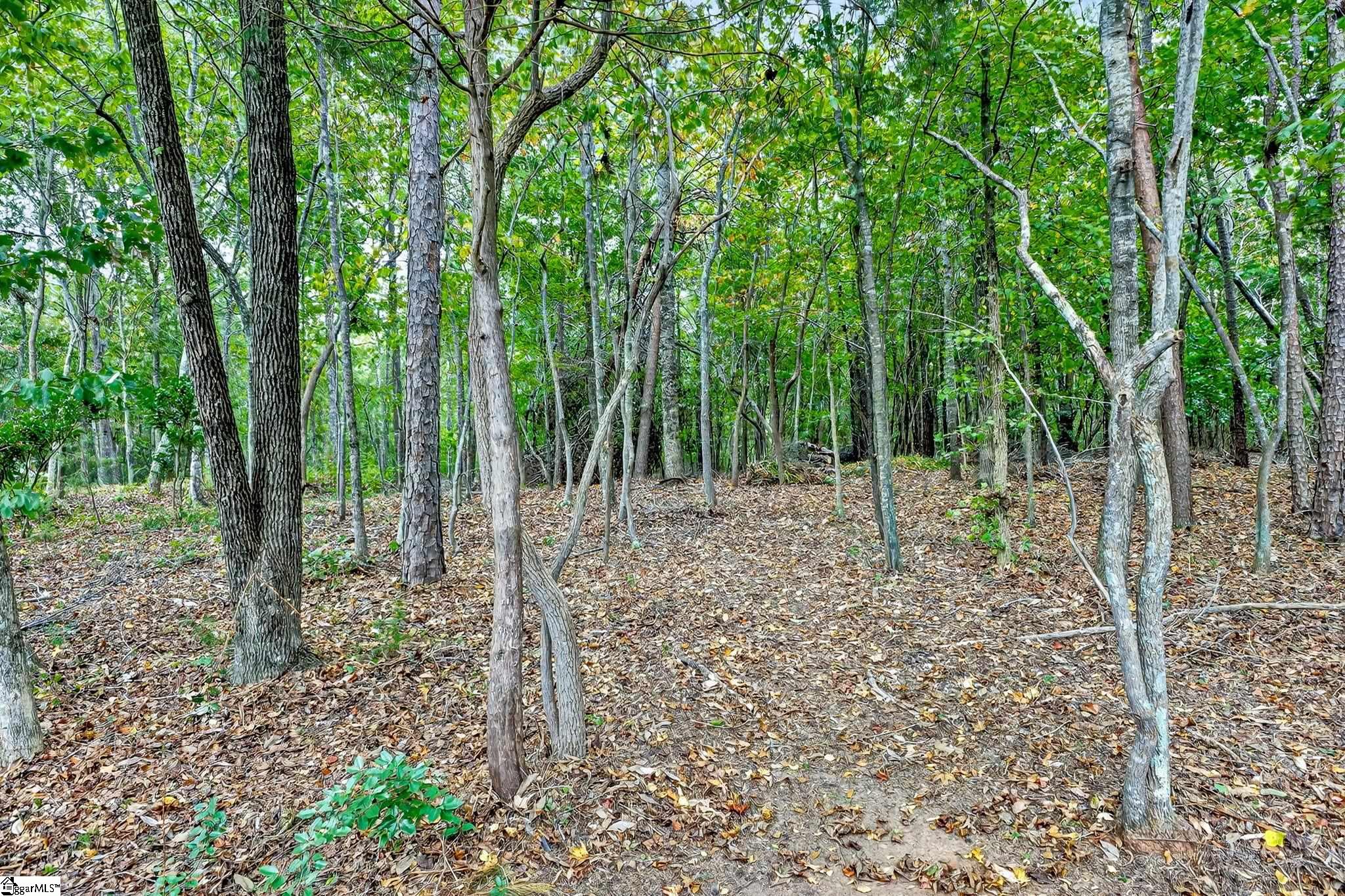 907 Sugar Oak Court Simpsonville, SC 29680