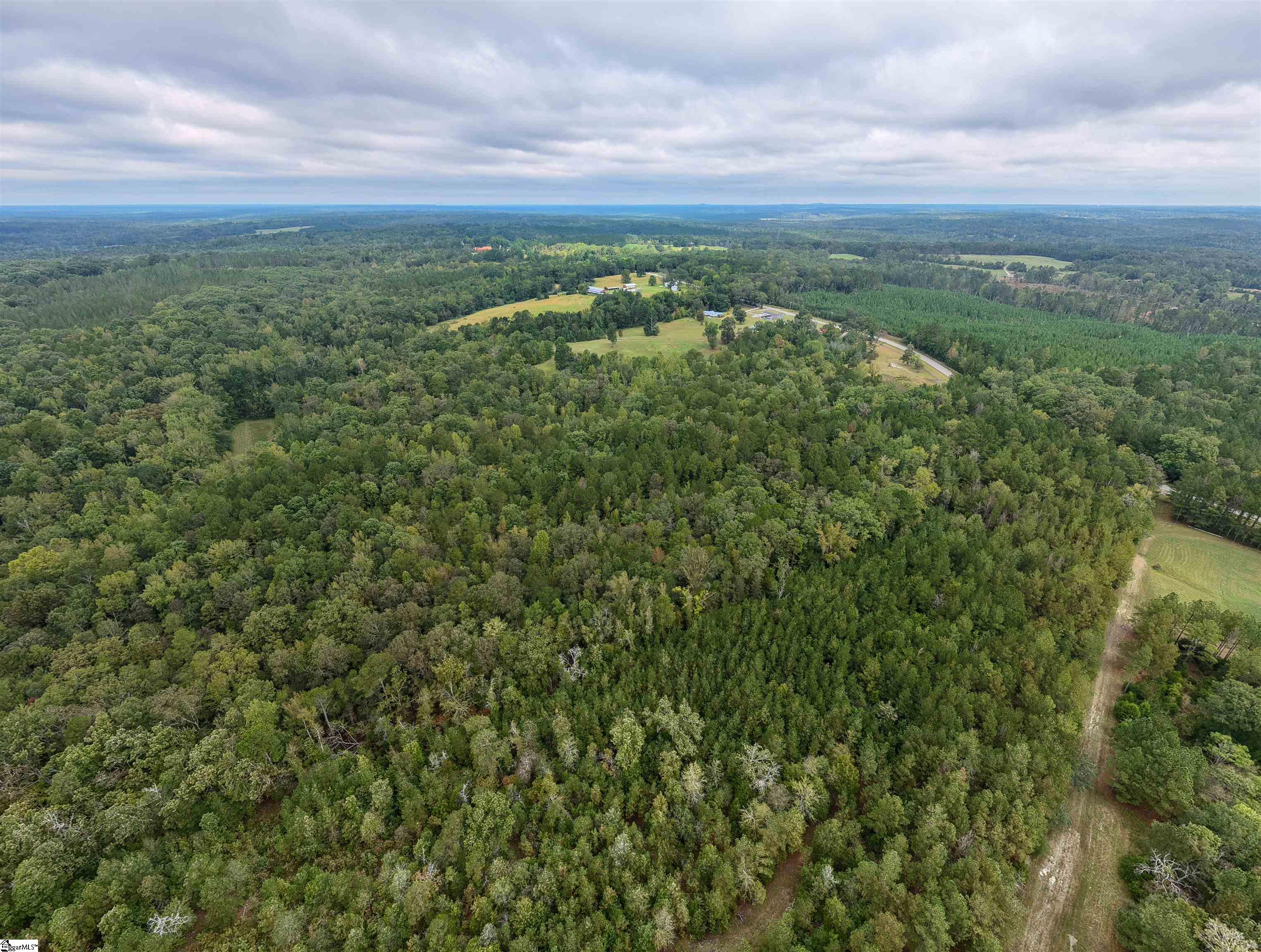 Homes for sale in Waterloo, SC | 9816 Neely Ferry Rd Rd, Waterloo, SC 29384 | MLS# 1571084