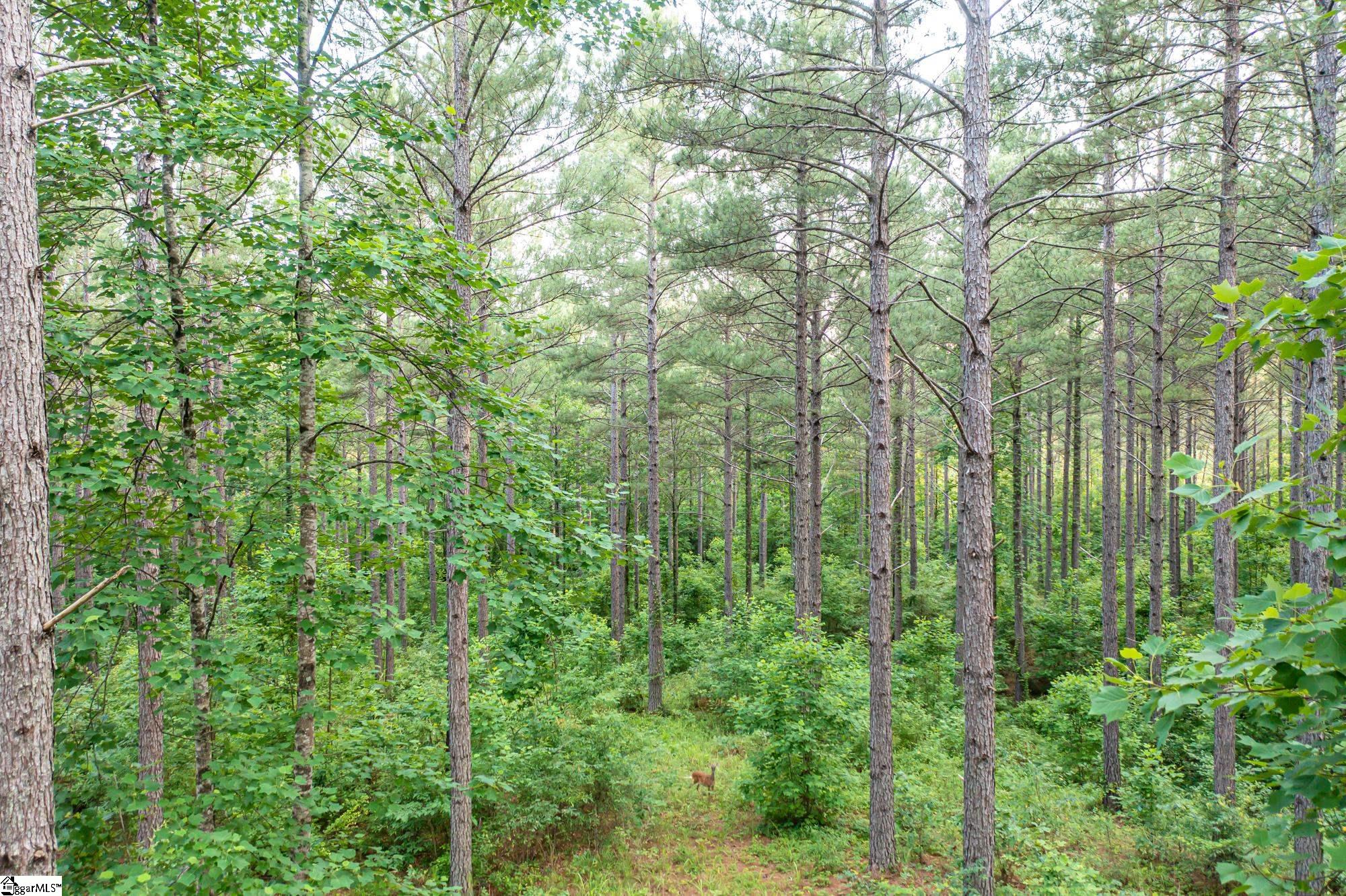 High Pines Drive UNIT Lot 4 Salem, SC 29676