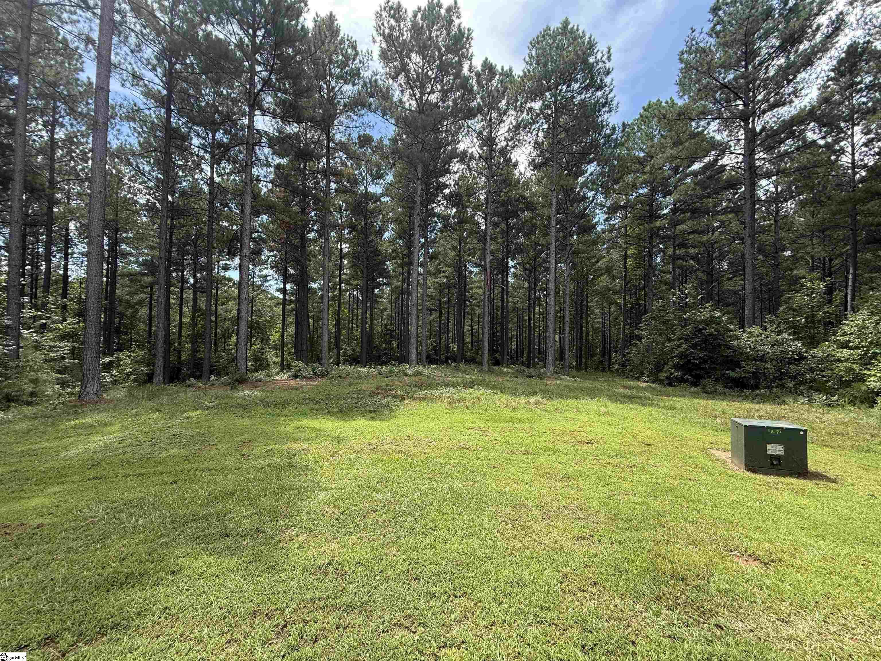 High Pines Drive UNIT Lot 4 Salem, SC 29676