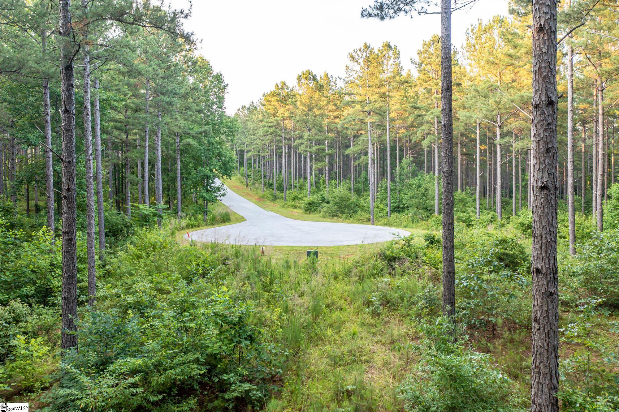 High Pines Drive UNIT Lot 4 Salem, SC 29676