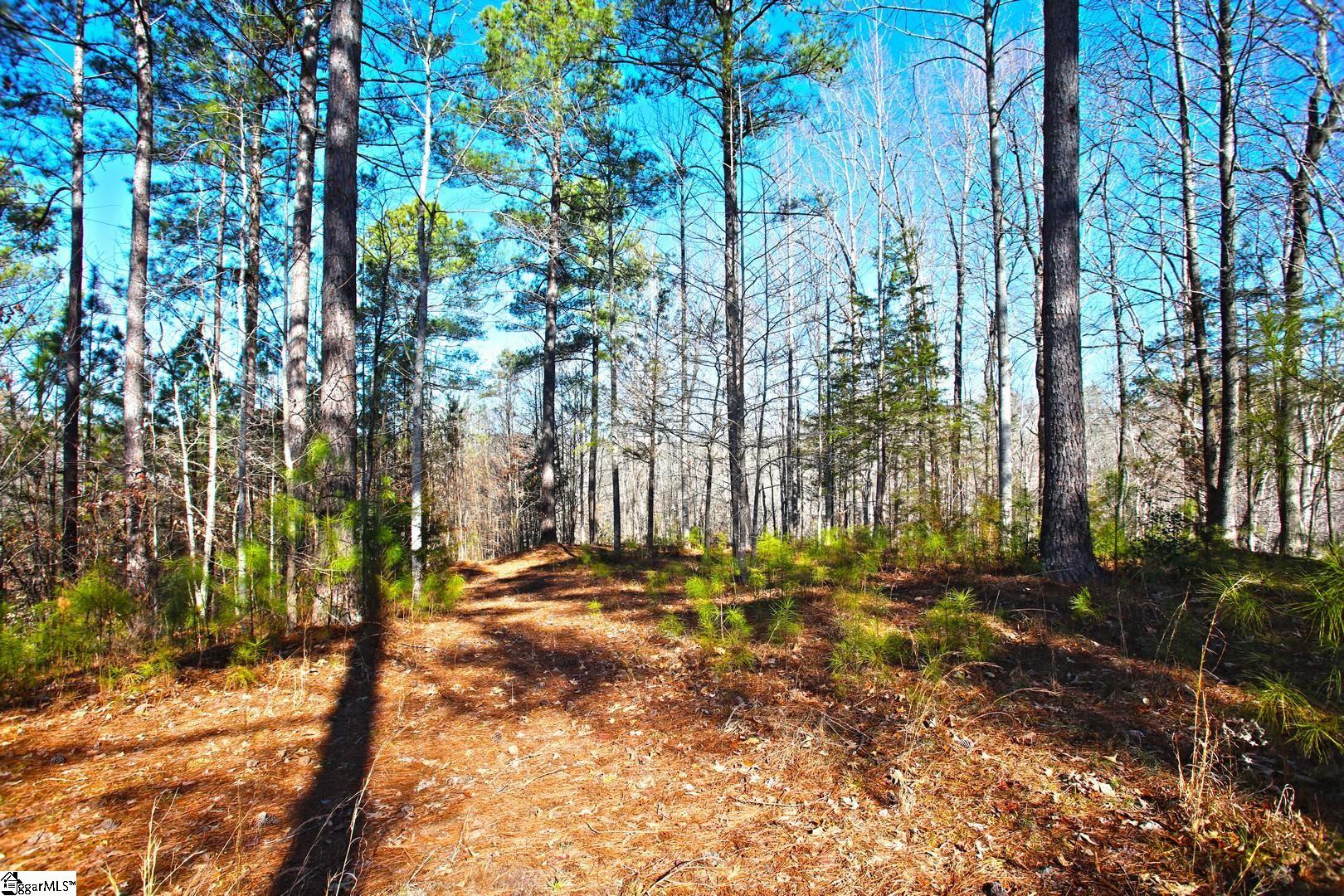416 Deerchase Court Salem, SC 29676
