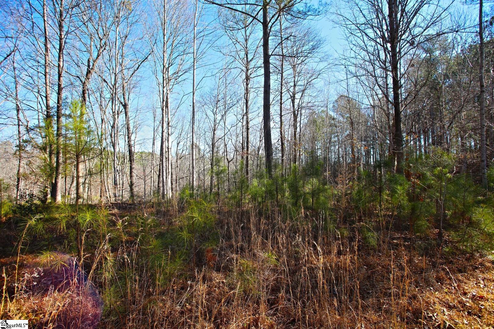 416 Deerchase Court Salem, SC 29676