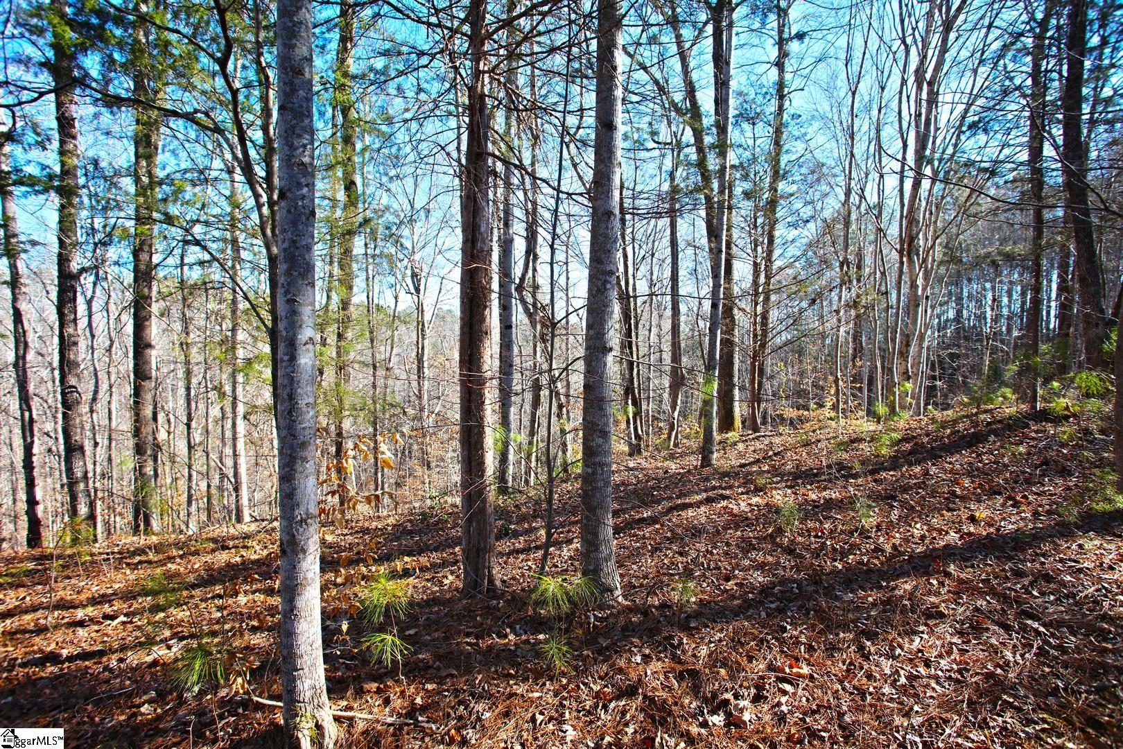 416 Deerchase Court Salem, SC 29676