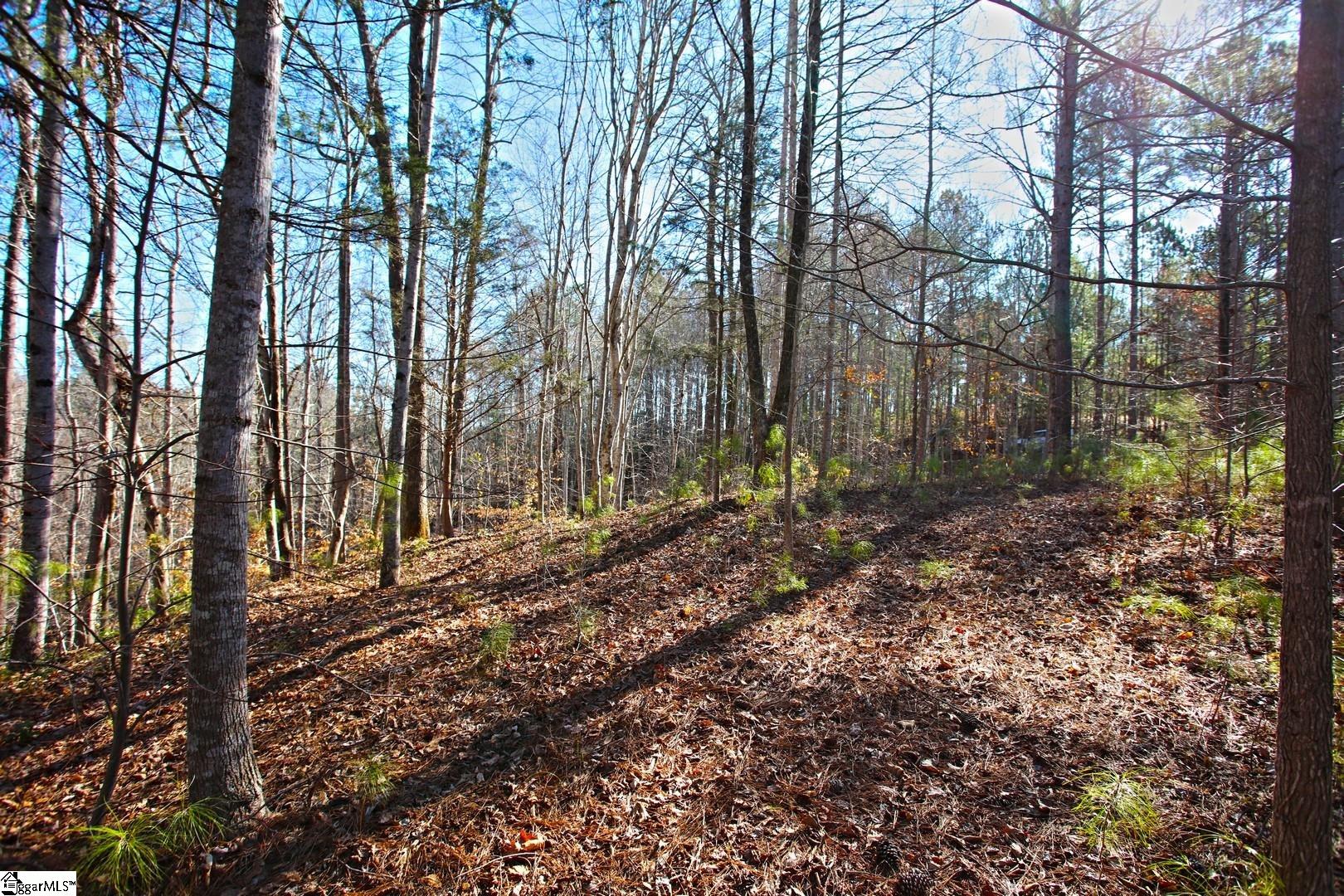 416 Deerchase Court Salem, SC 29676