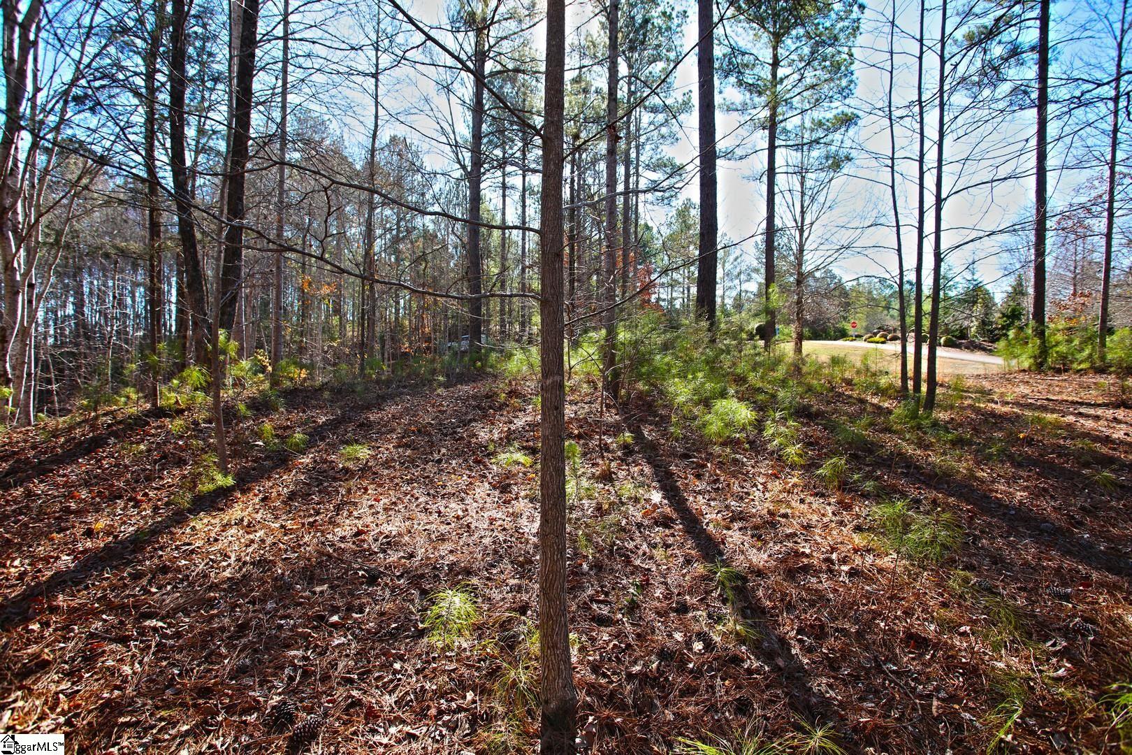 416 Deerchase Court Salem, SC 29676