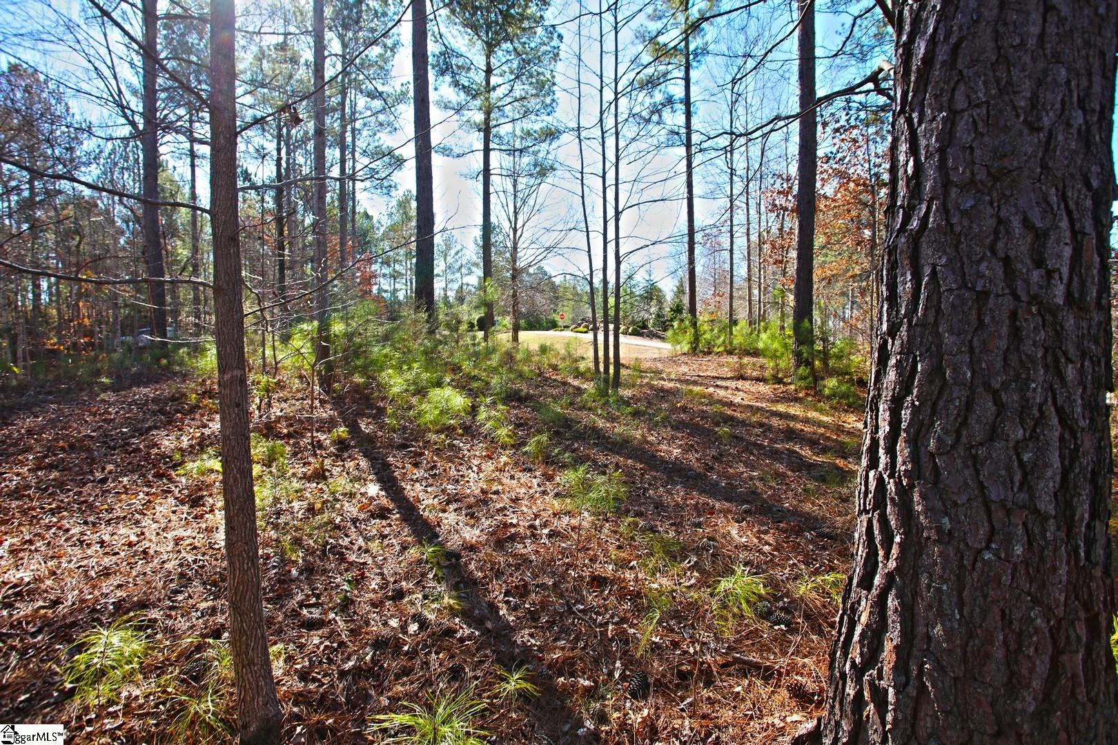 416 Deerchase Court Salem, SC 29676