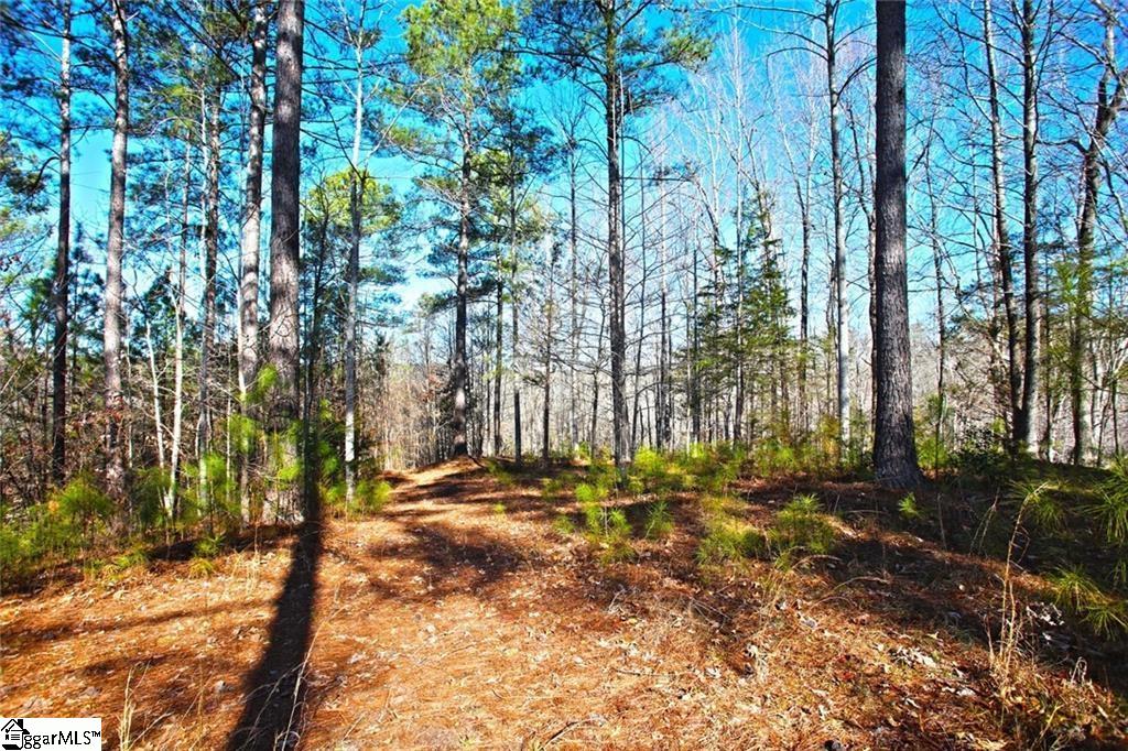416 Deerchase Court Salem, SC 29676