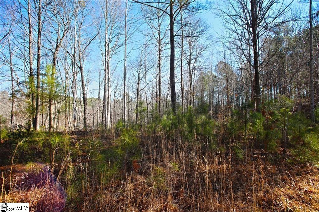 416 Deerchase Court Salem, SC 29676