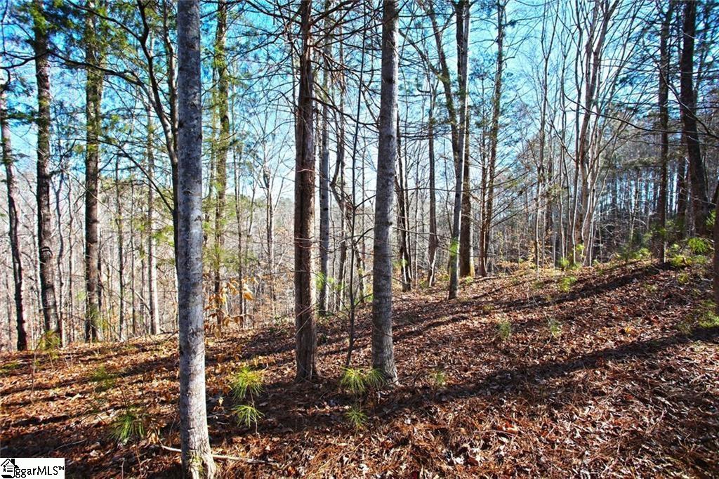 416 Deerchase Court Salem, SC 29676