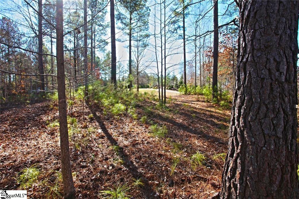 416 Deerchase Court Salem, SC 29676