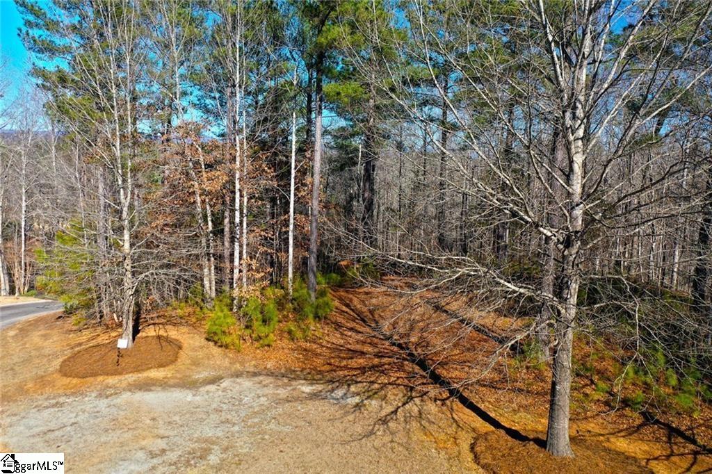 416 Deerchase Court Salem, SC 29676