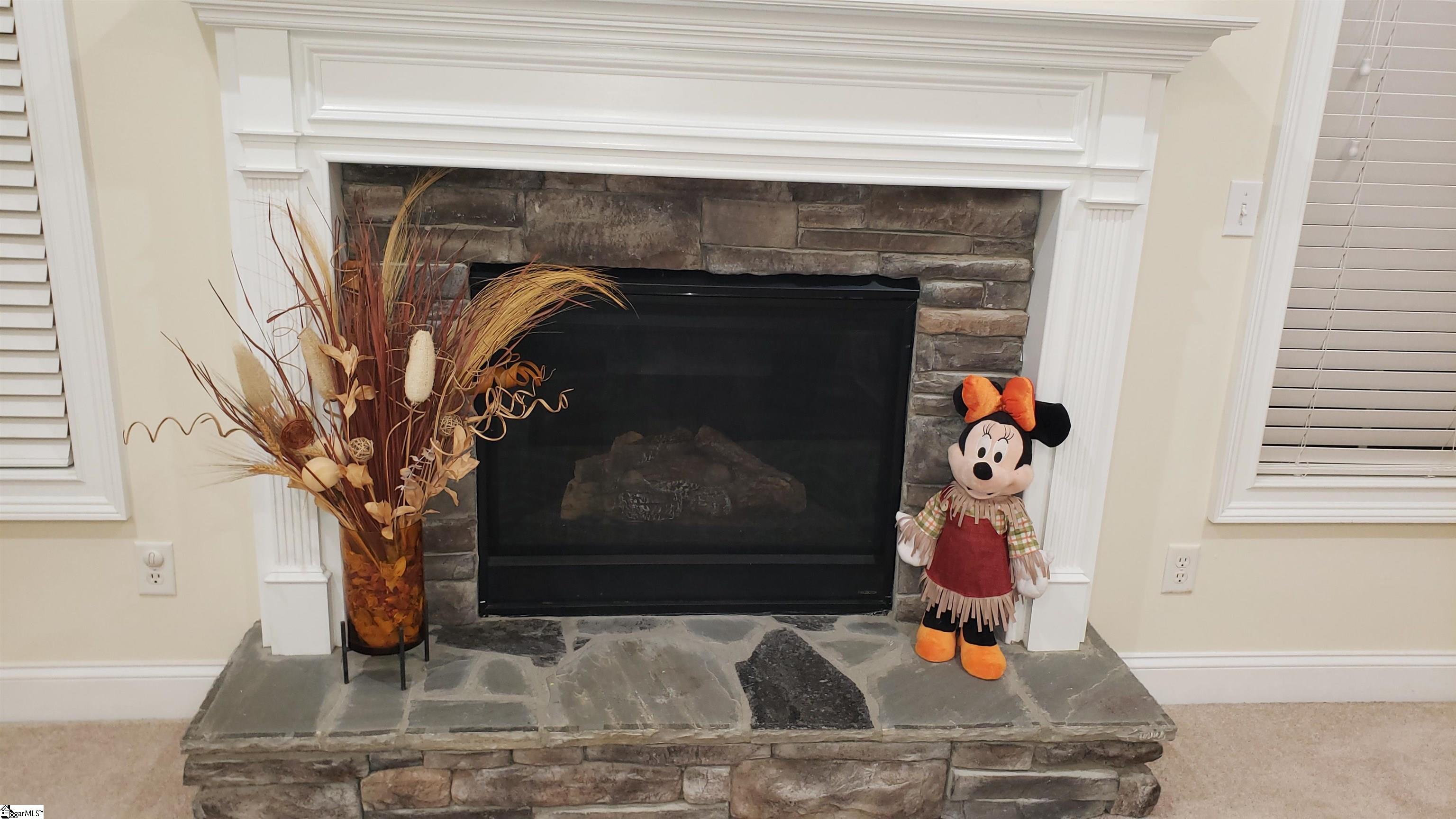 19 Copperdale Drive Simpsonville, SC 29681