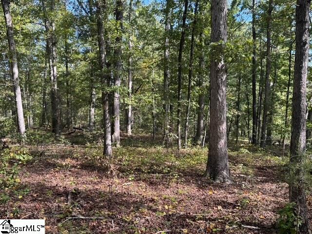 Walhalla Highway Pickens, SC 29671