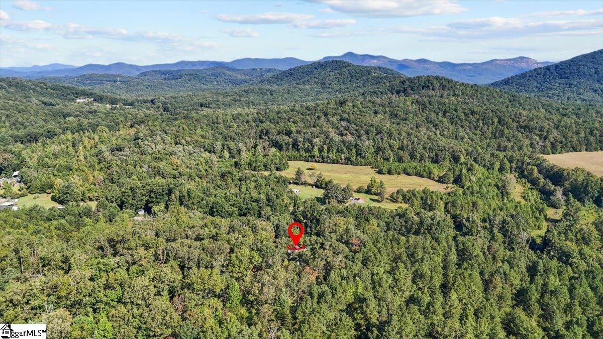 1258 Cove Creek Road Pickens, SC 29671