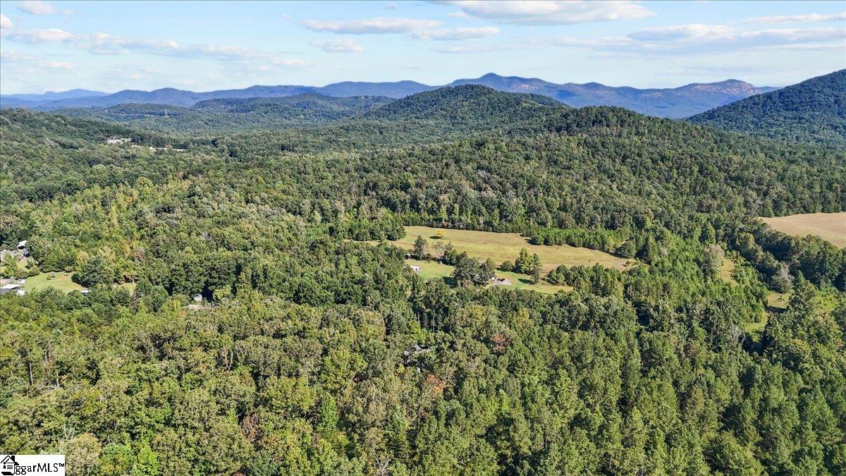 1258 Cove Creek Road Pickens, SC 29671