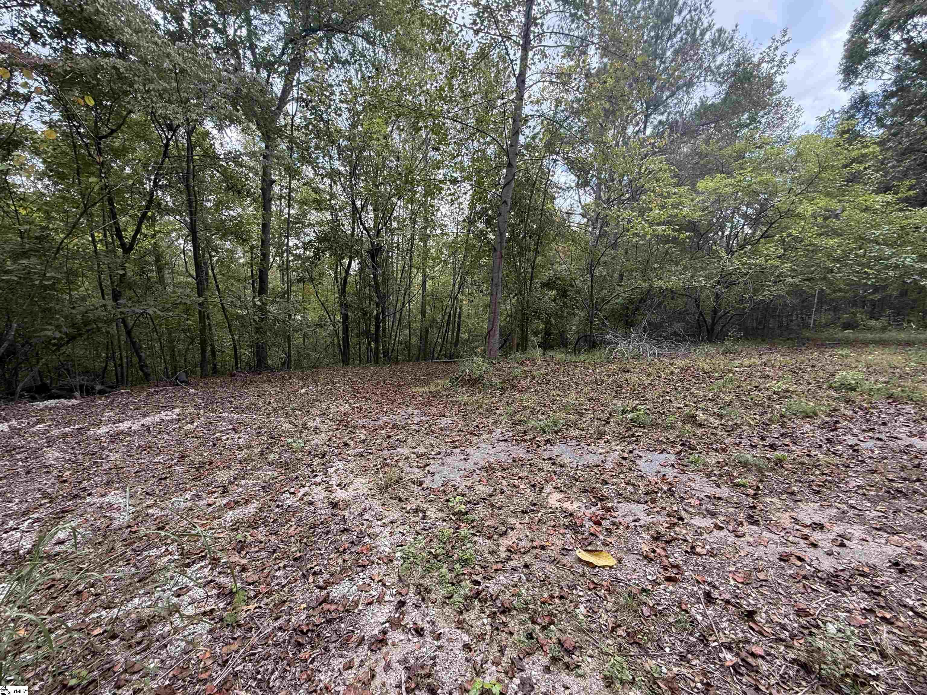 9000 U.s. Highway Woodruff, SC 29388