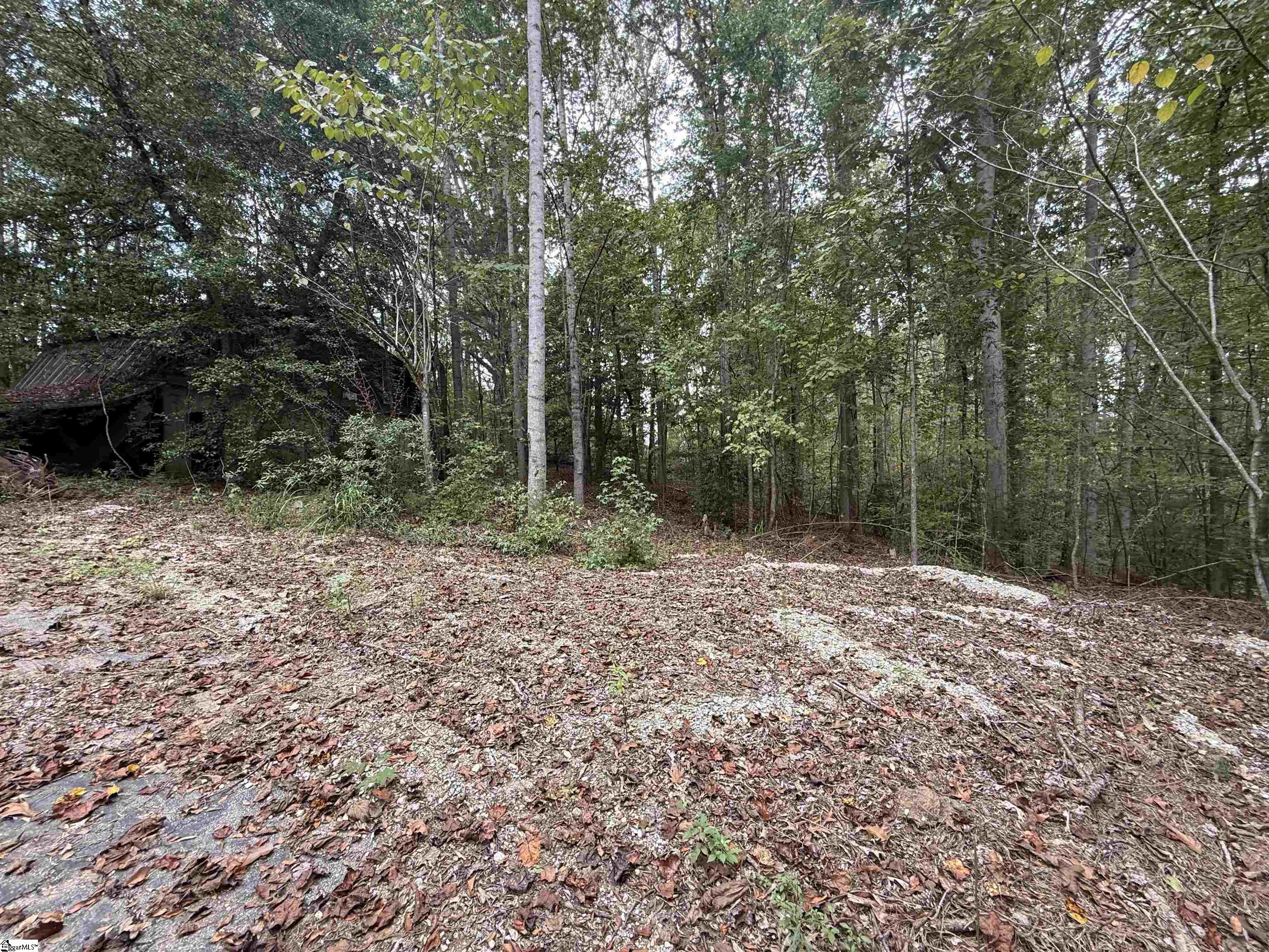 9000 U.s. Highway Woodruff, SC 29388