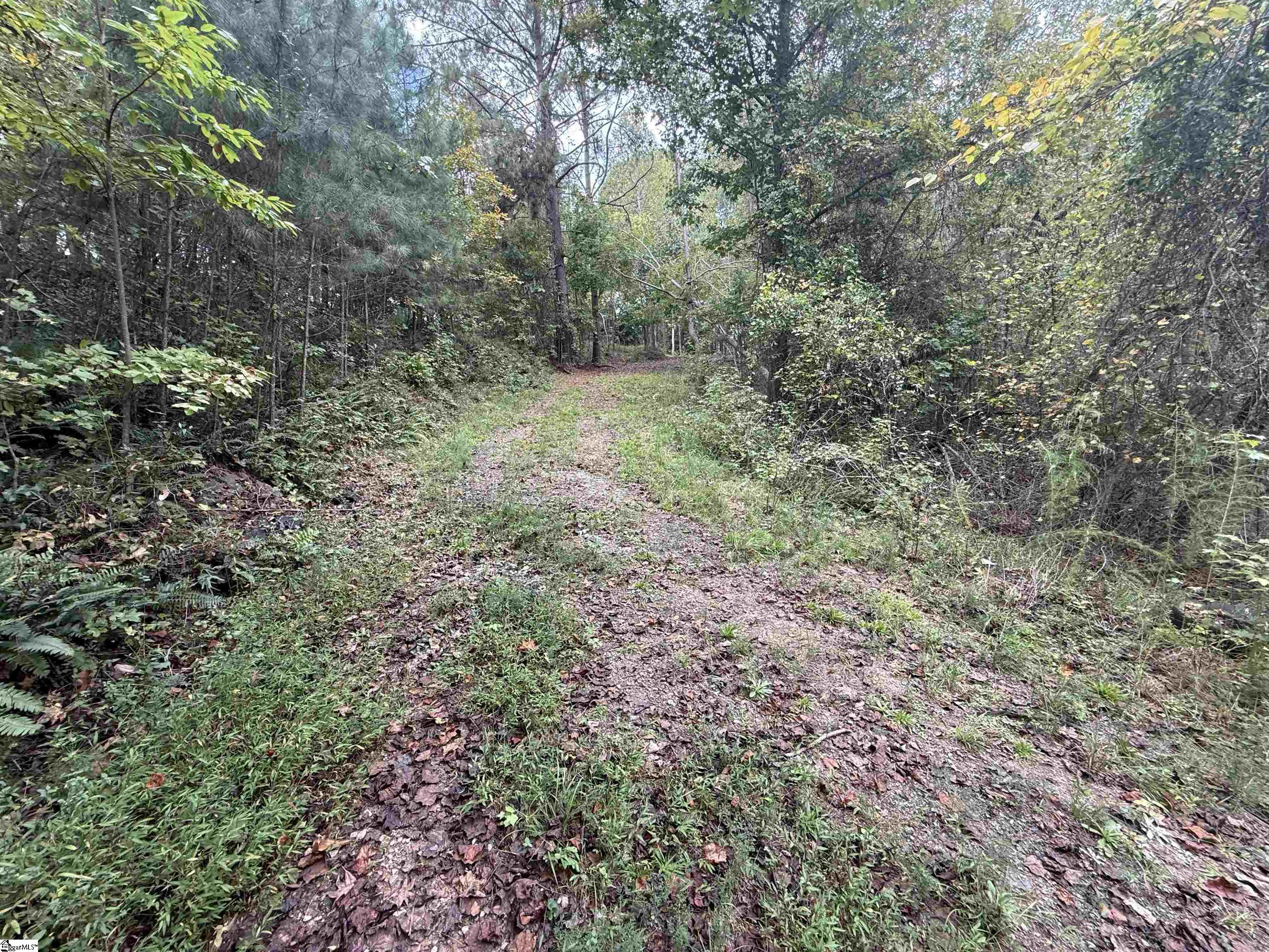 9000 U.s. Highway Woodruff, SC 29388