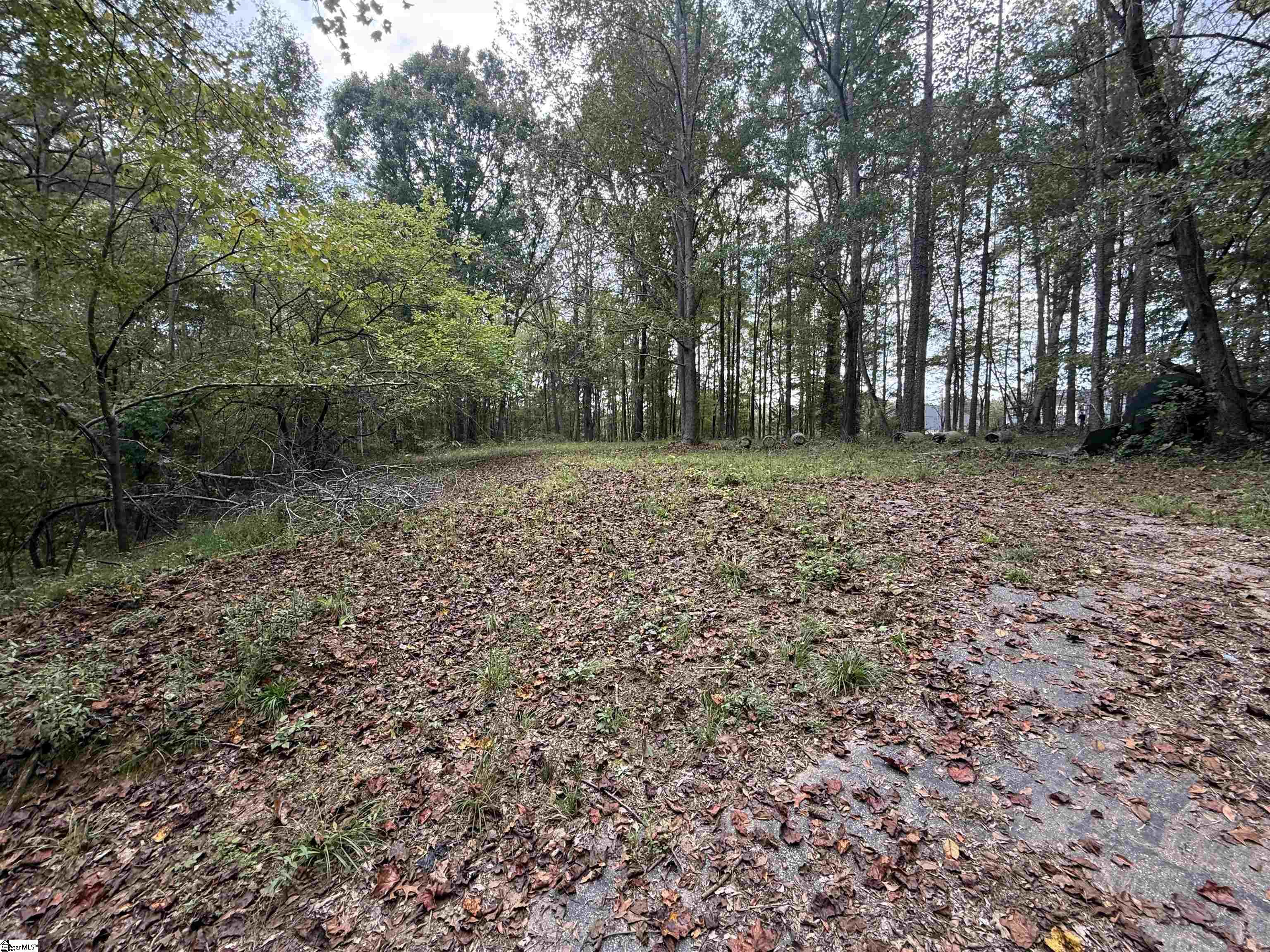 9000 U.s. Highway Woodruff, SC 29388