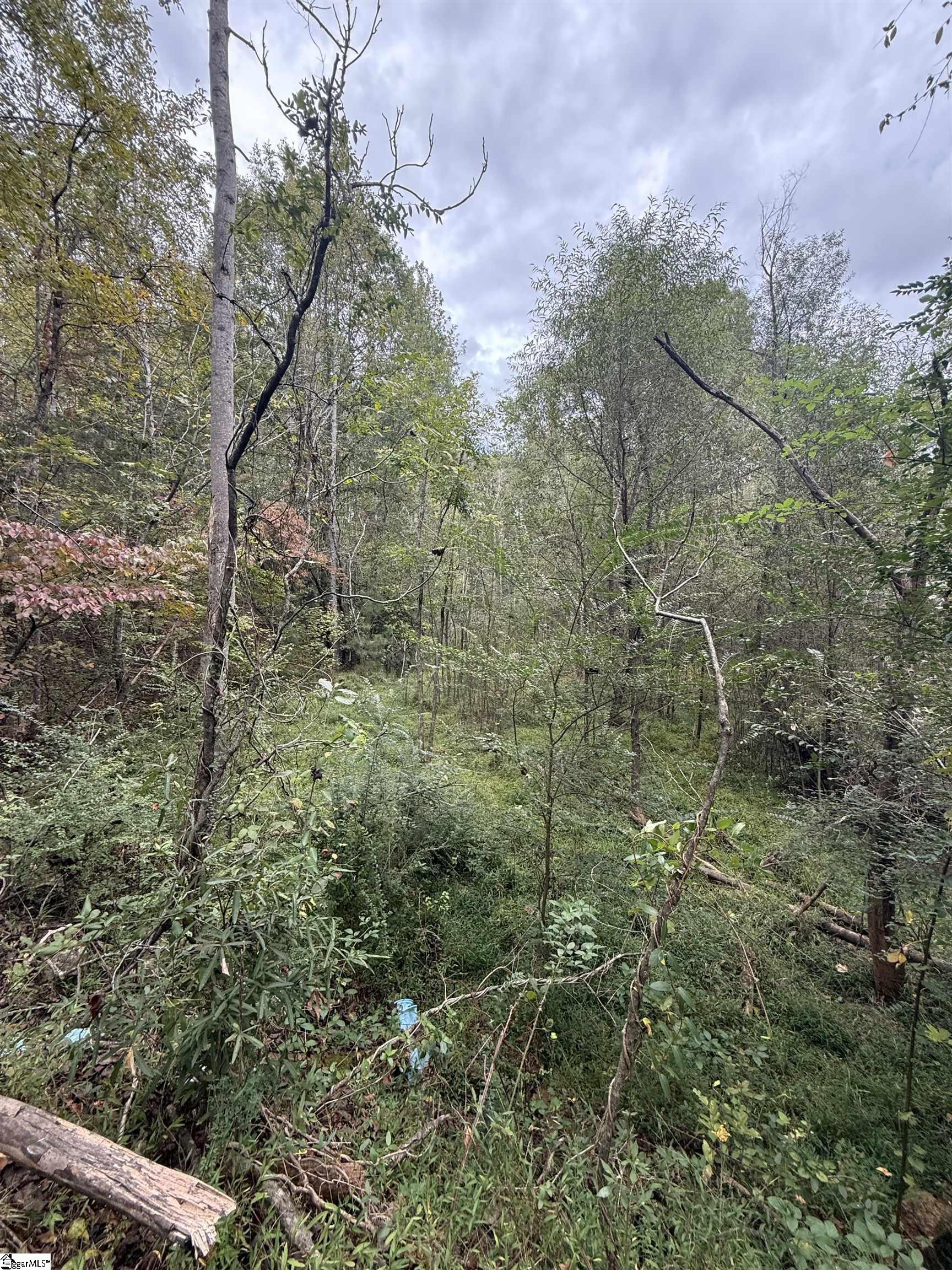 9000 U.s. Highway Woodruff, SC 29388
