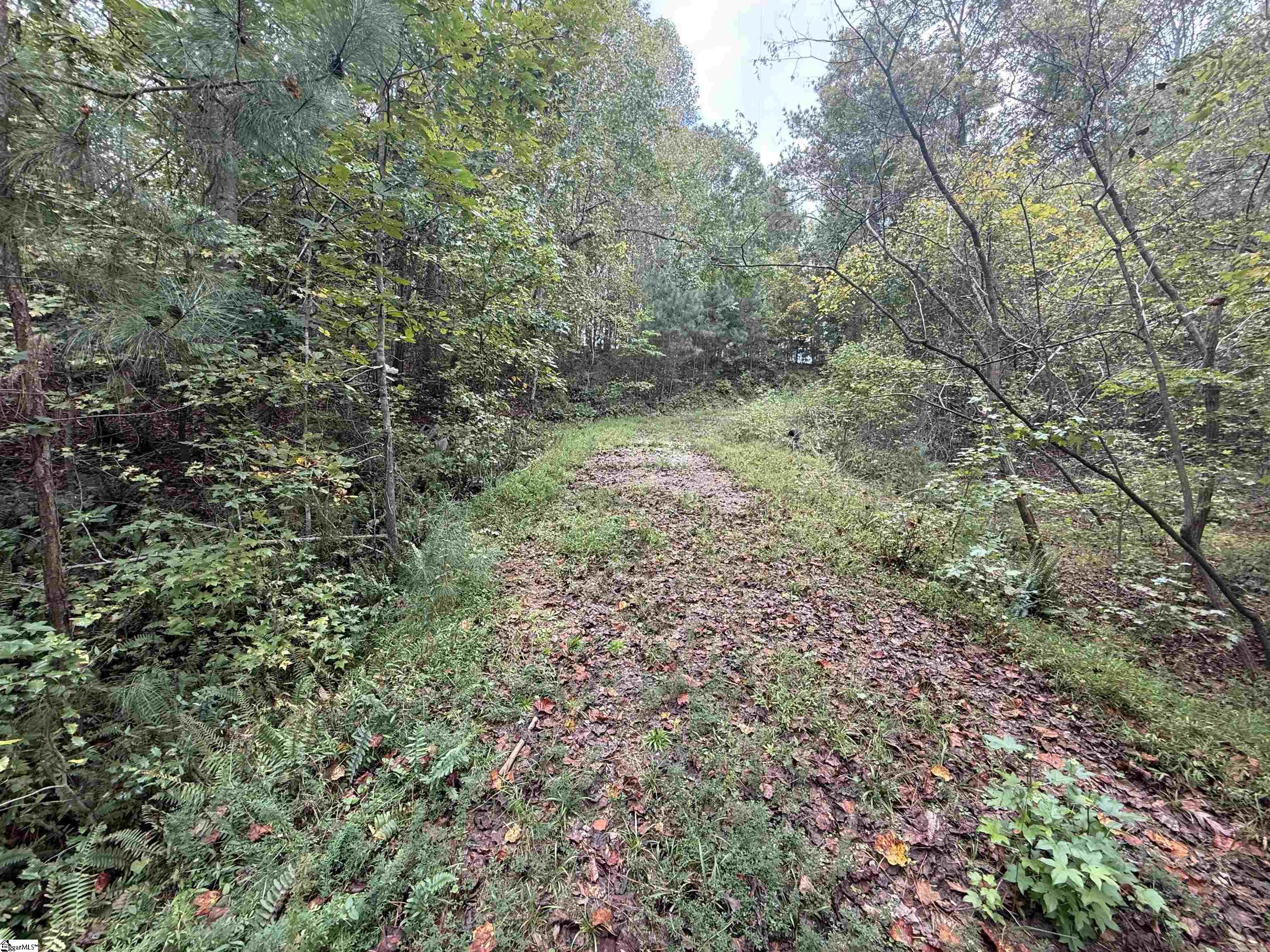 9000 U.s. Highway Woodruff, SC 29388