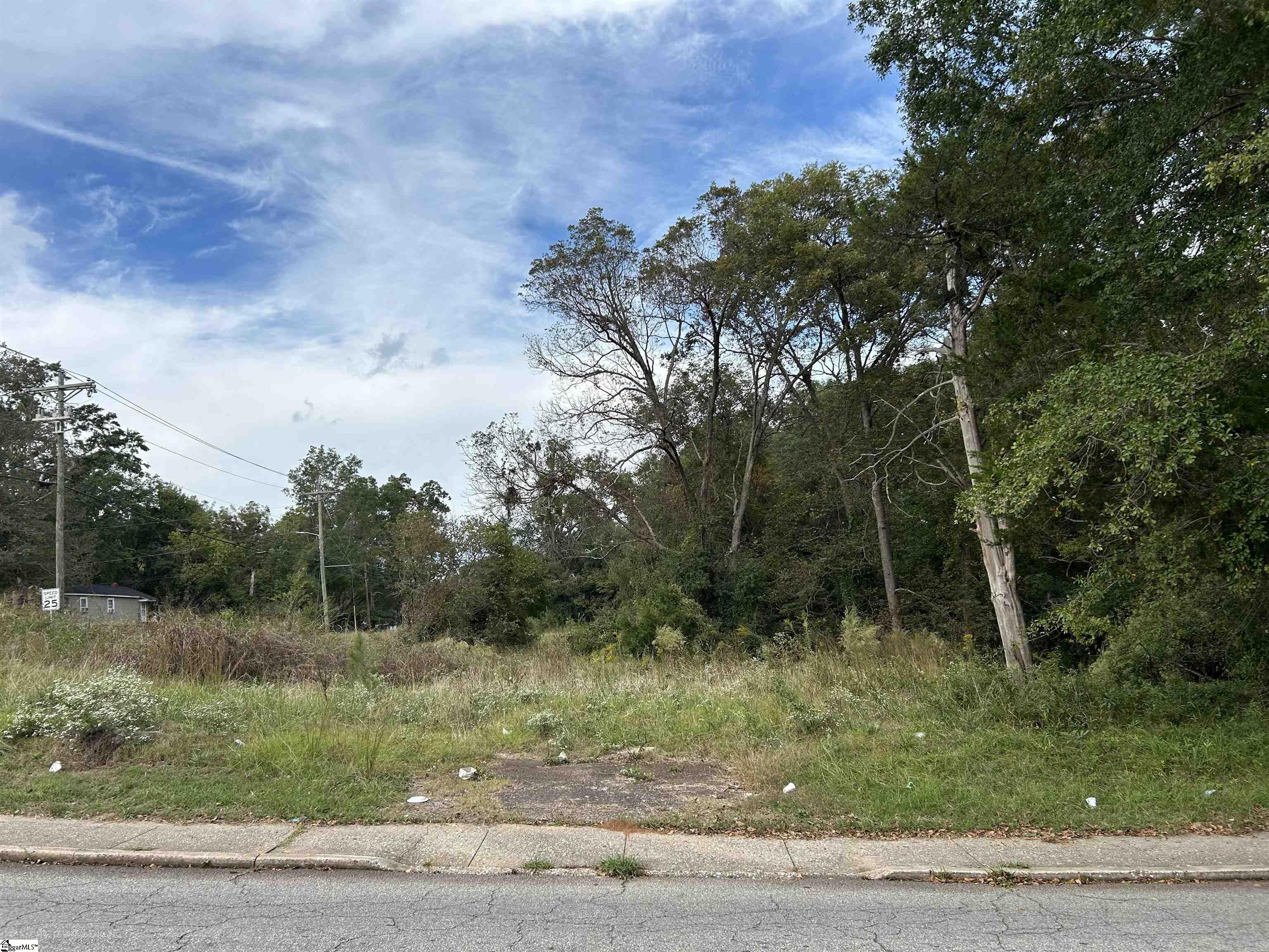 00 Sullivan Street Laurens, SC 29360