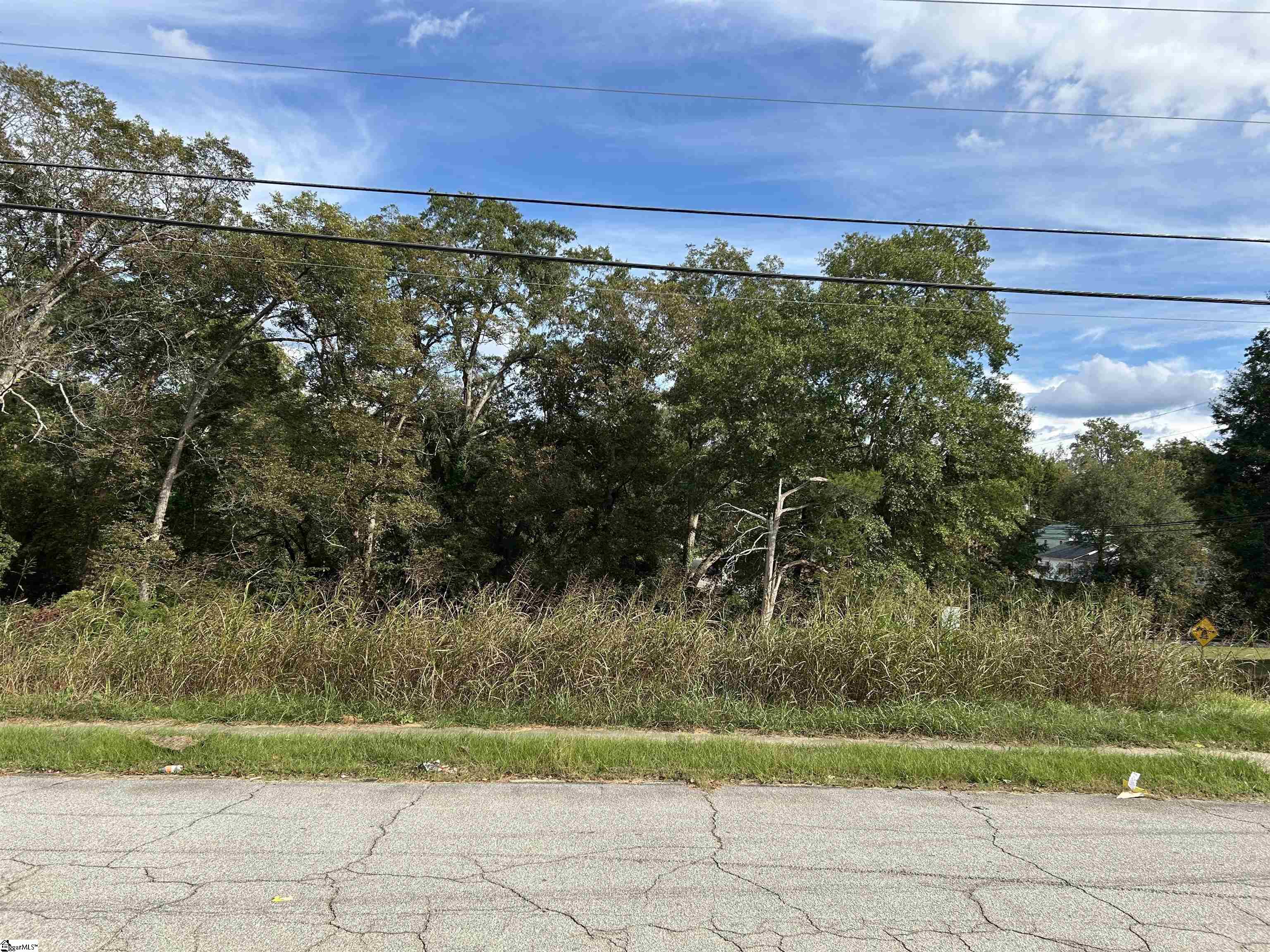 00 Sullivan Street Laurens, SC 29360