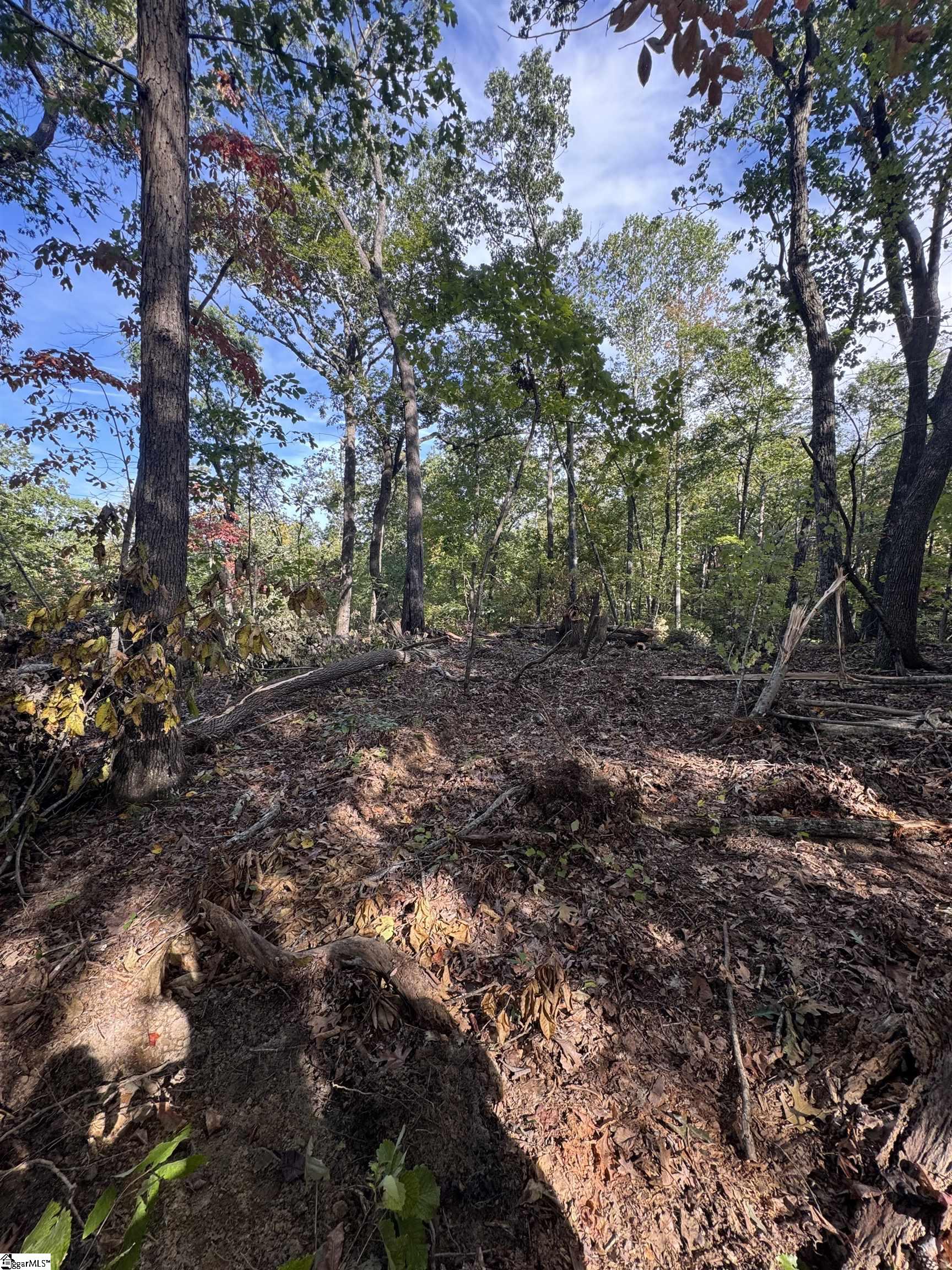4502 Hawkins Road Greer, SC 29651