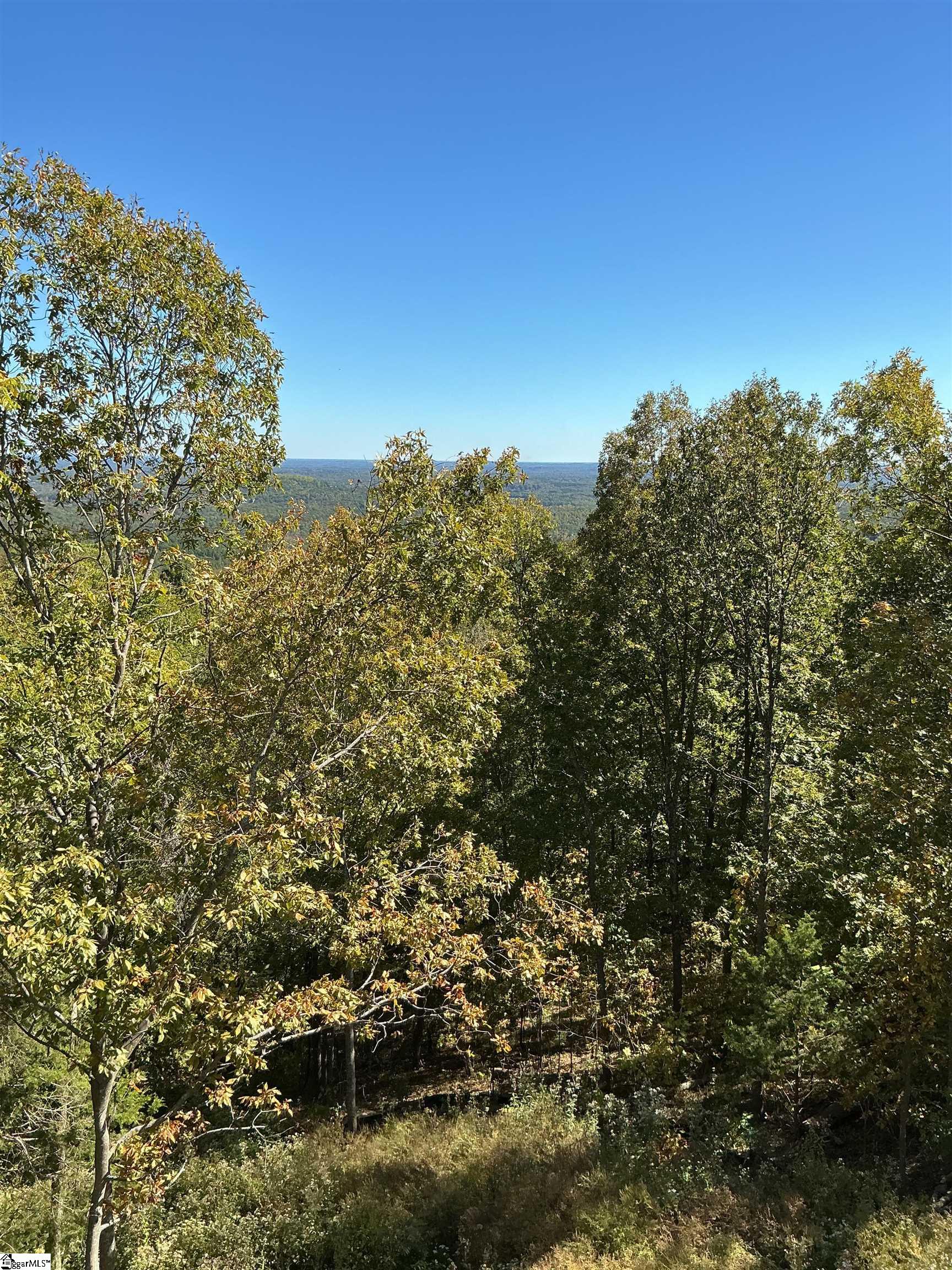 Homes for sale in Landrum, SC | 811 Raven Rd, Landrum, SC 29356 | MLS# 1571763