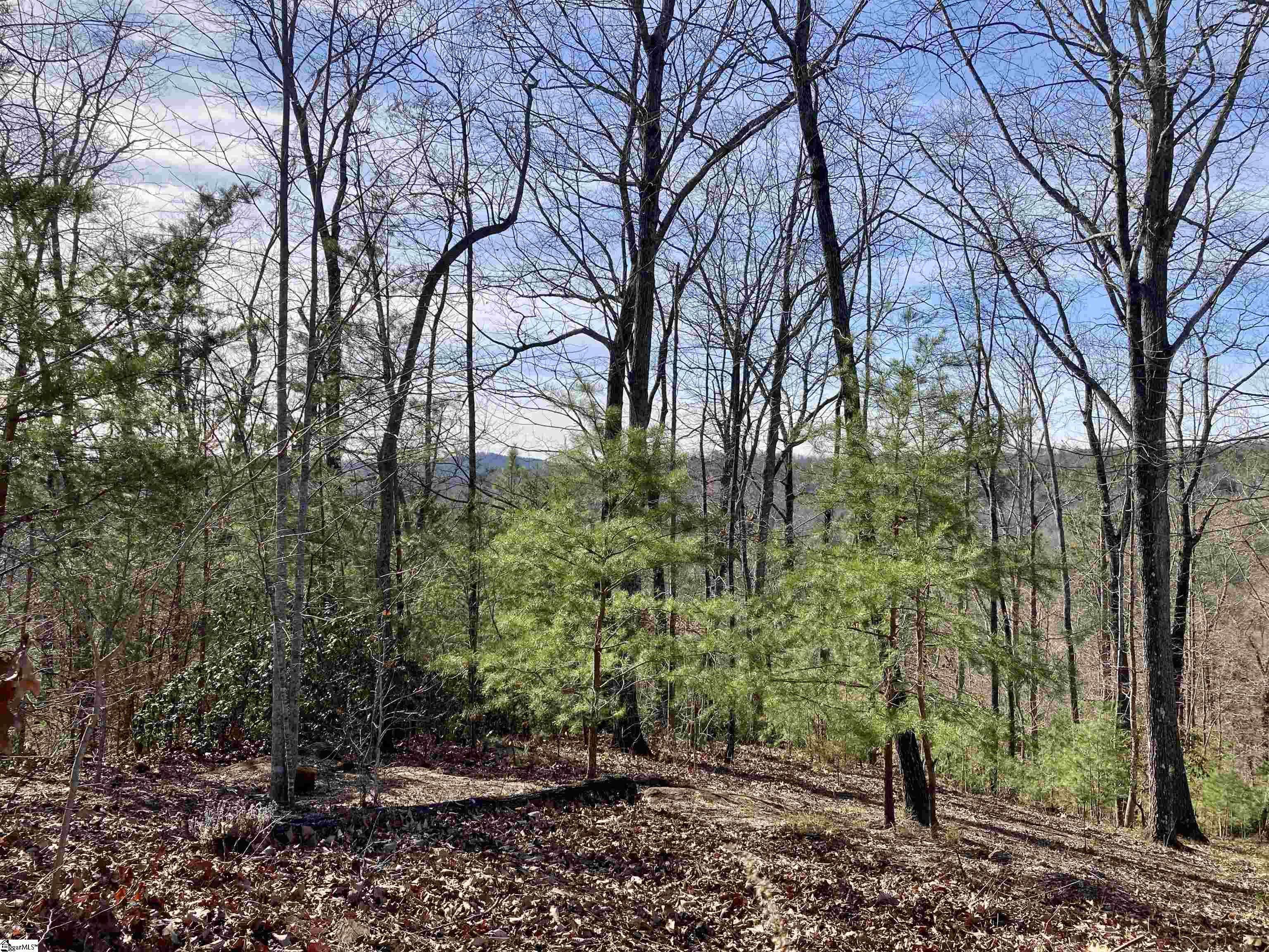 435 Augusta Links Trail Travelers Rest, SC 29690