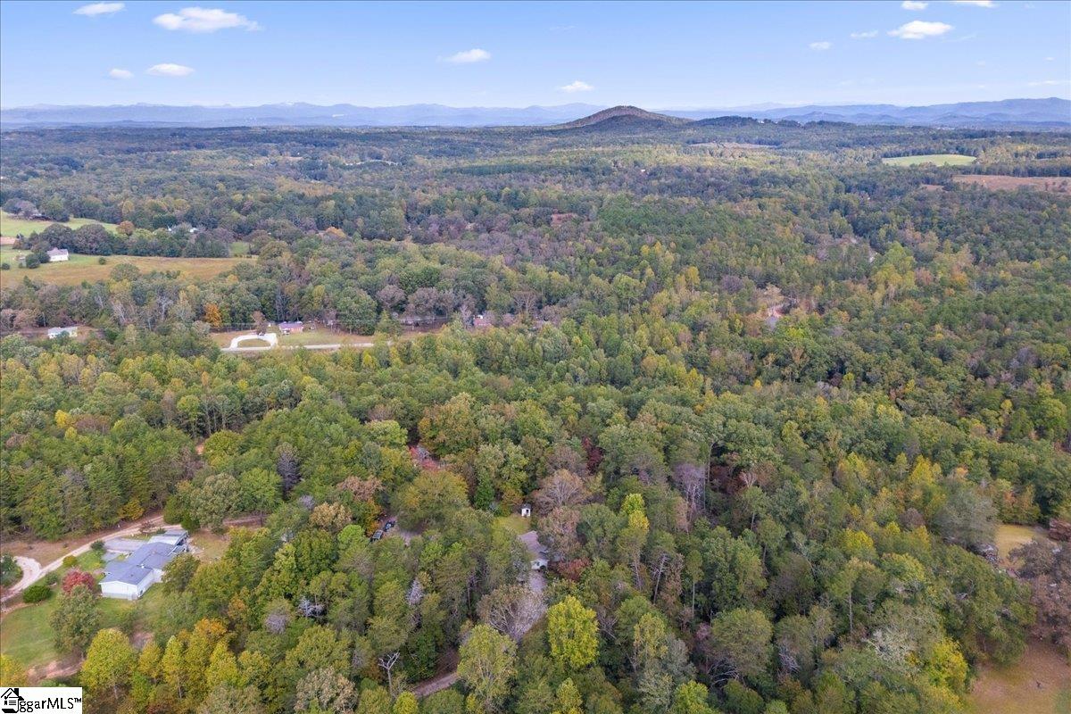 163 B D Johnston Road Central, SC 29630
