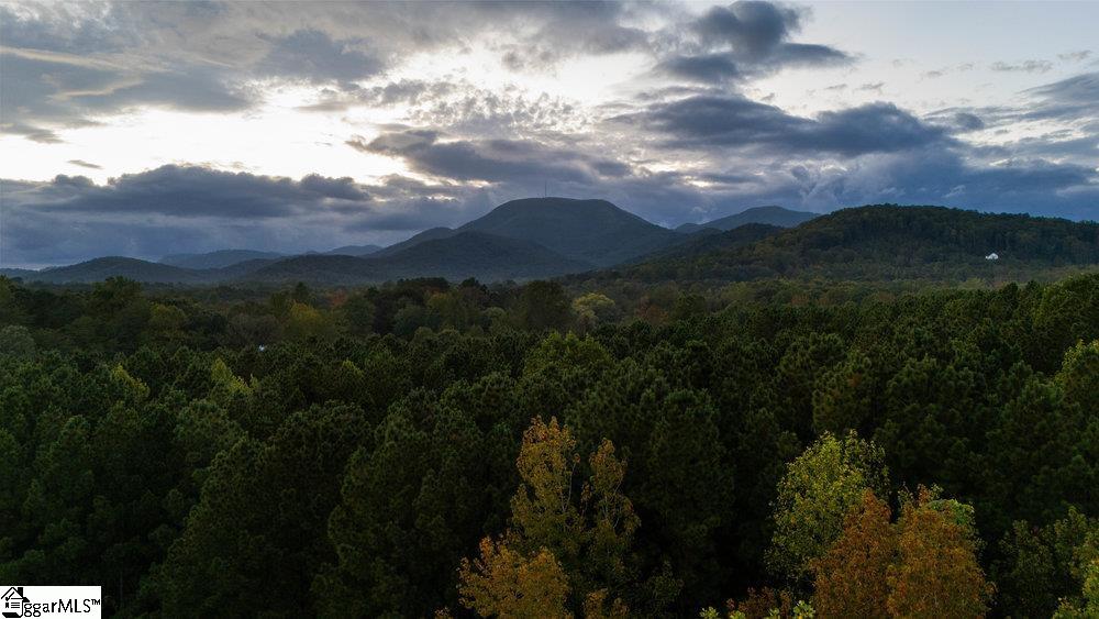 Homes for sale in Landrum, SC | 620 Oak Grove Rd, Landrum, SC 29356 | MLS# 1572070