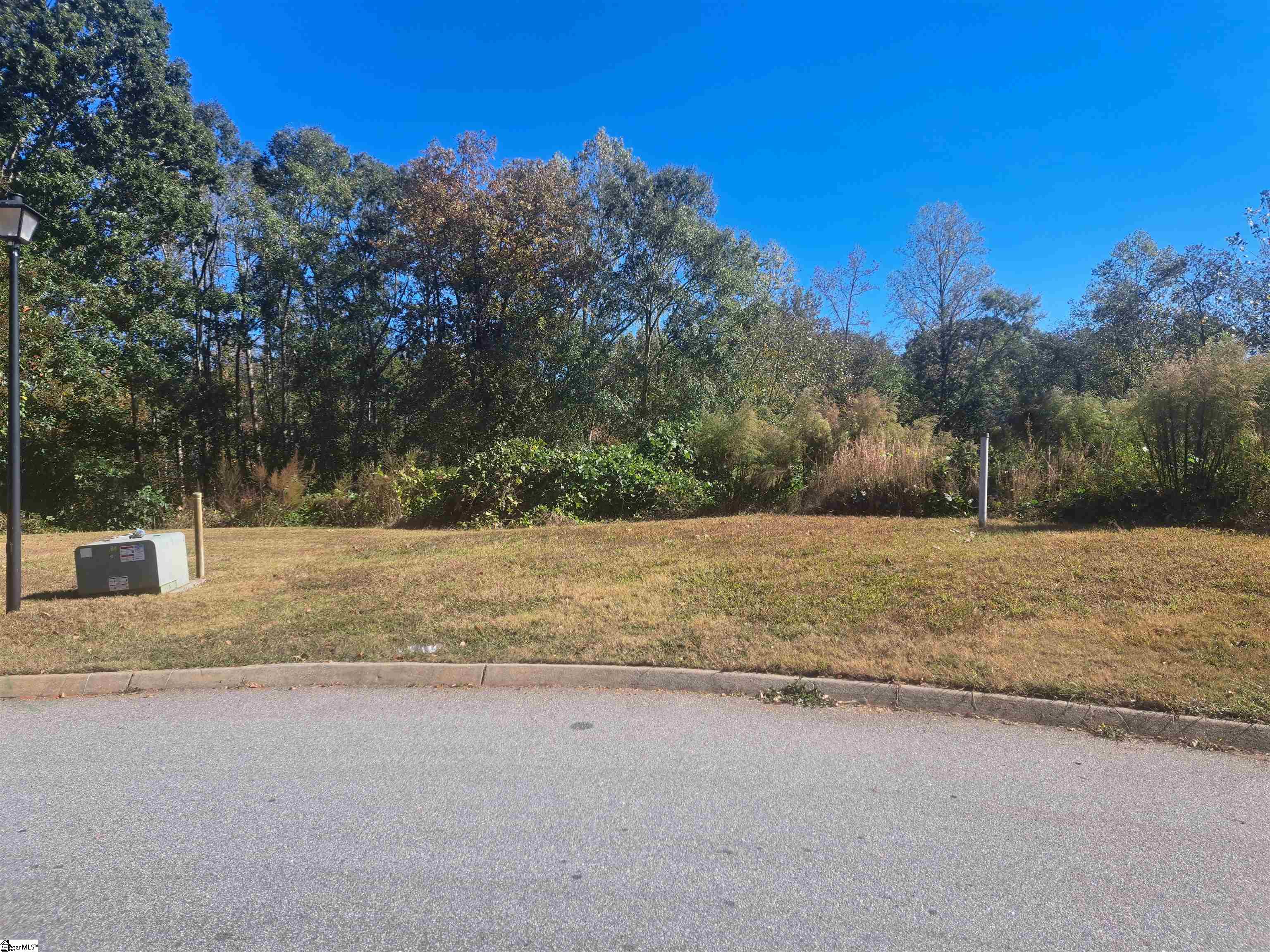 Homes for sale in Greenville, SC | 64 Juneau Ct, Greenville, SC 29605 | MLS# 1572891