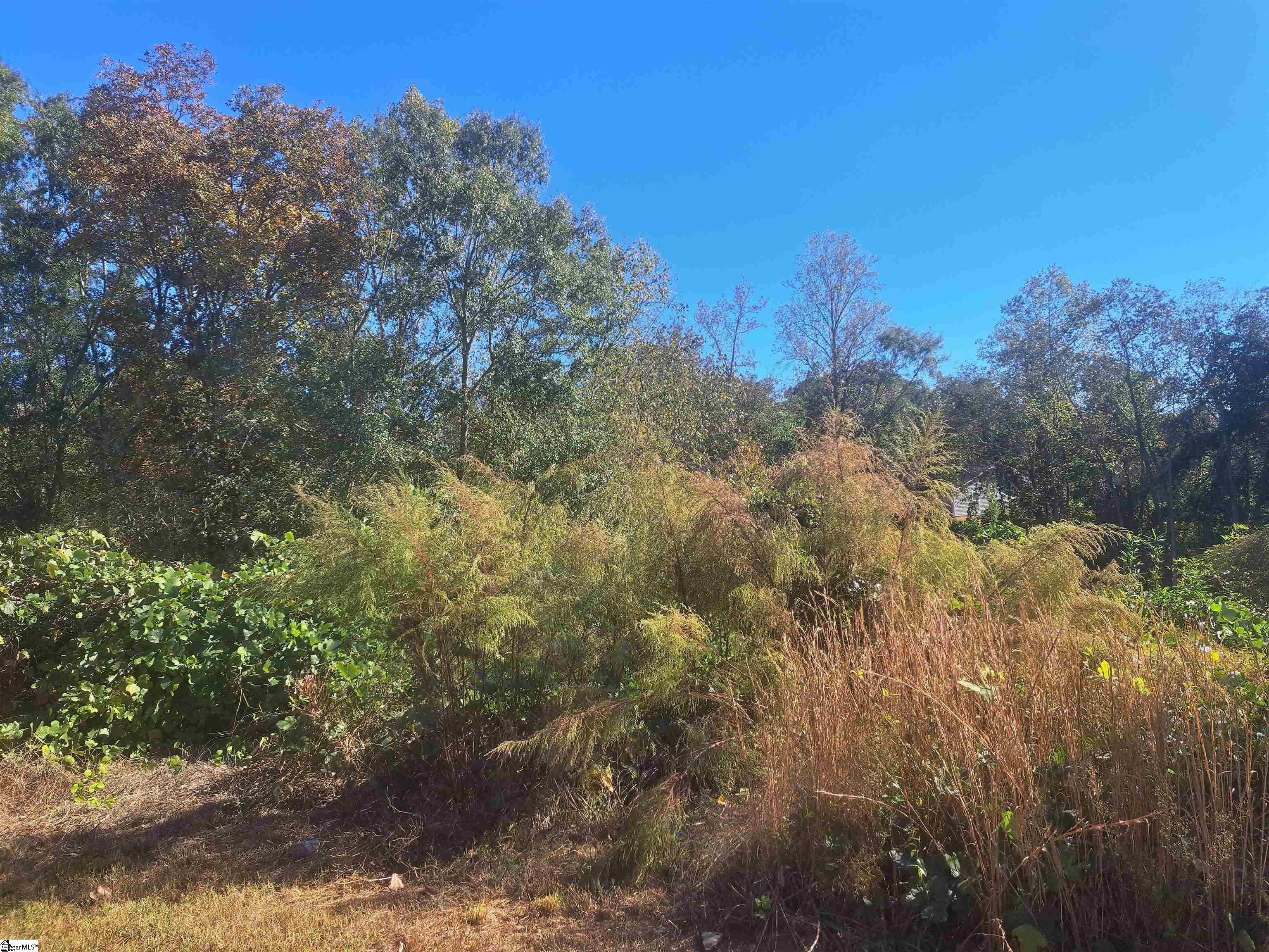 Homes for sale in Greenville, SC | 64 Juneau Ct, Greenville, SC 29605 | MLS# 1572891