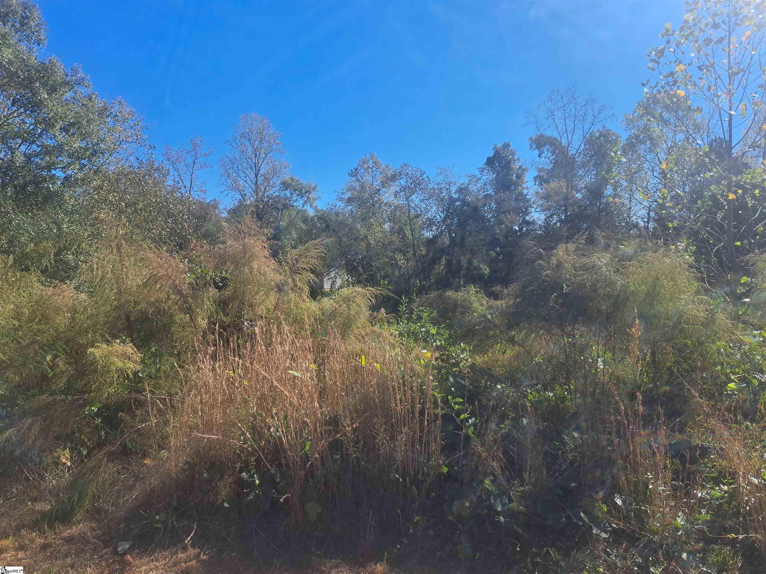 Homes for sale in Greenville, SC | 64 Juneau Ct, Greenville, SC 29605 | MLS# 1572891