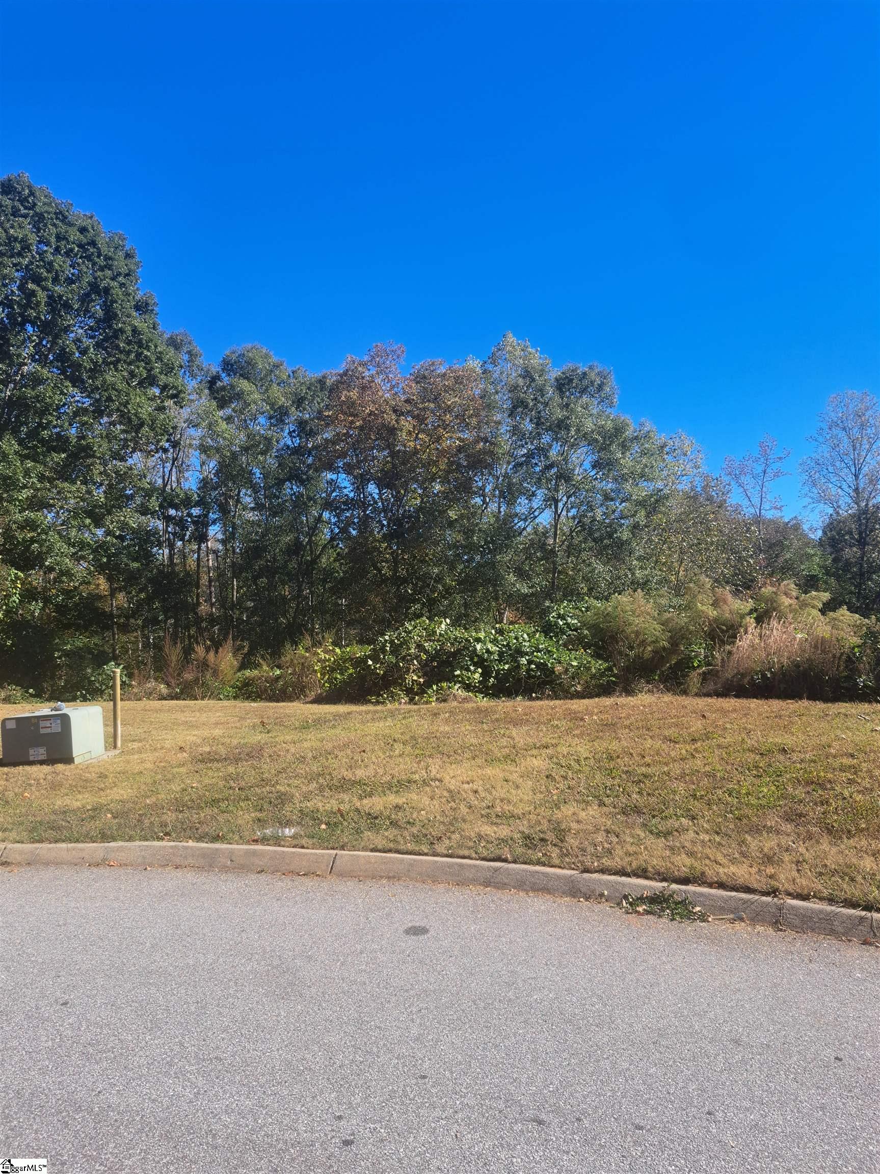 Homes for sale in Greenville, SC | 64 Juneau Ct, Greenville, SC 29605 | MLS# 1572891