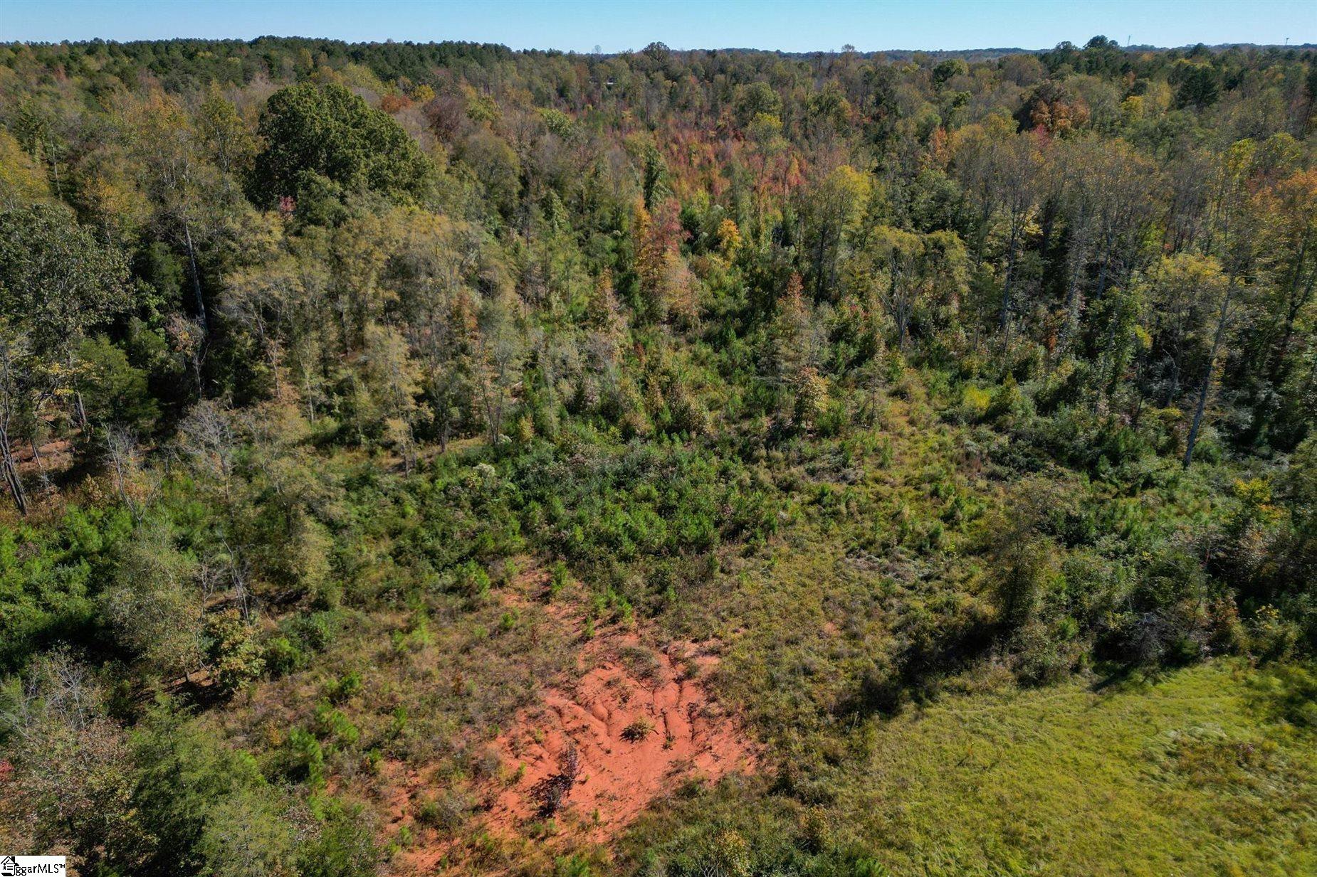 Homes for sale in Enoree, SC | 00 Mount Shoals Rd, Enoree, SC 29335 | MLS# 1572905