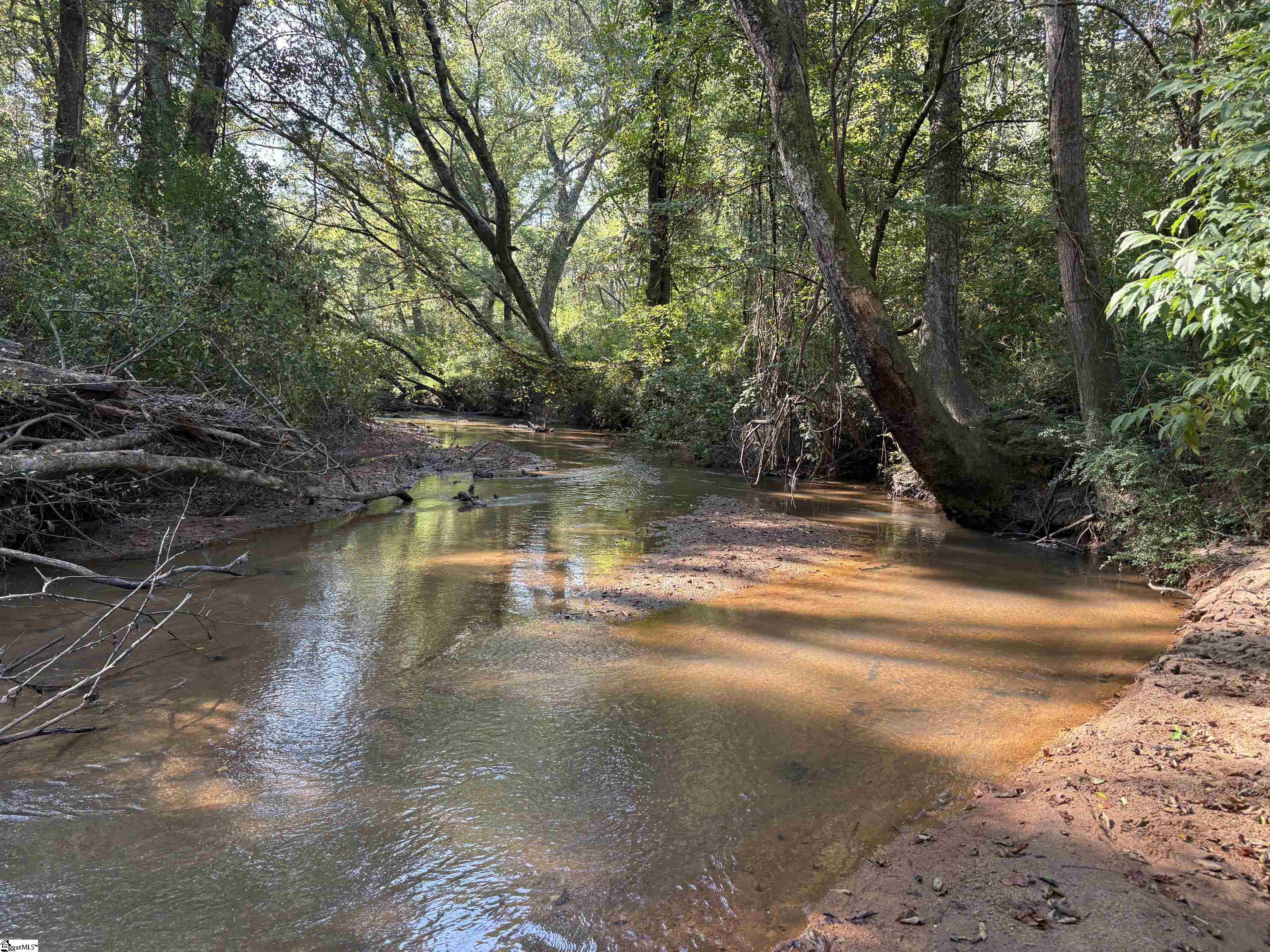 Homes for sale in Ware Shoals, SC | 02 Joe Oulla Rd, Ware Shoals, SC 29692 | MLS# 1572953