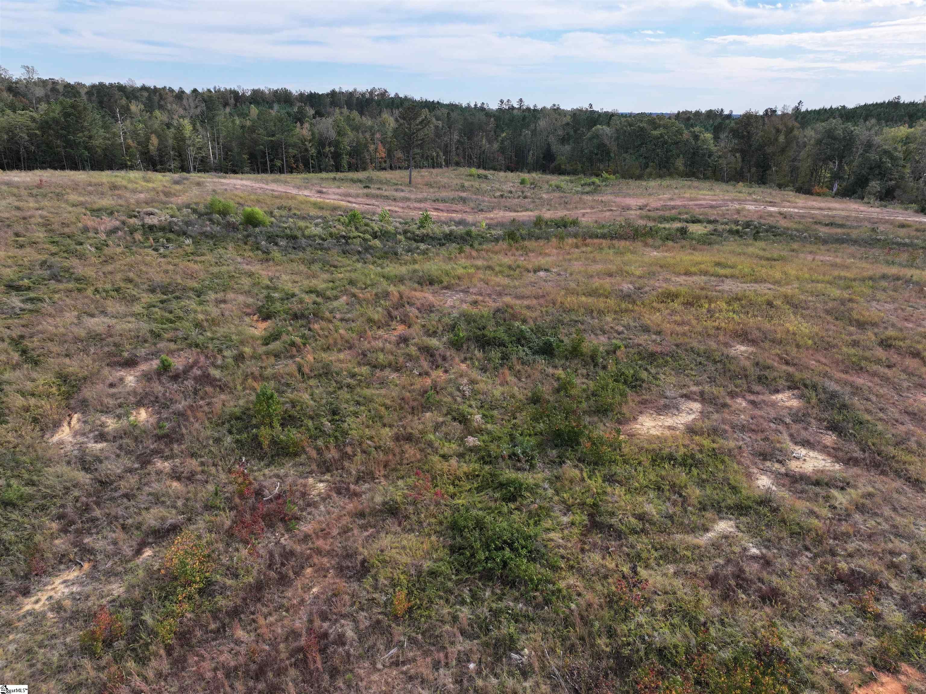 Homes for sale in Buffalo, SC | 192 Putman Rd, Buffalo, SC 29321 | MLS# 1572984