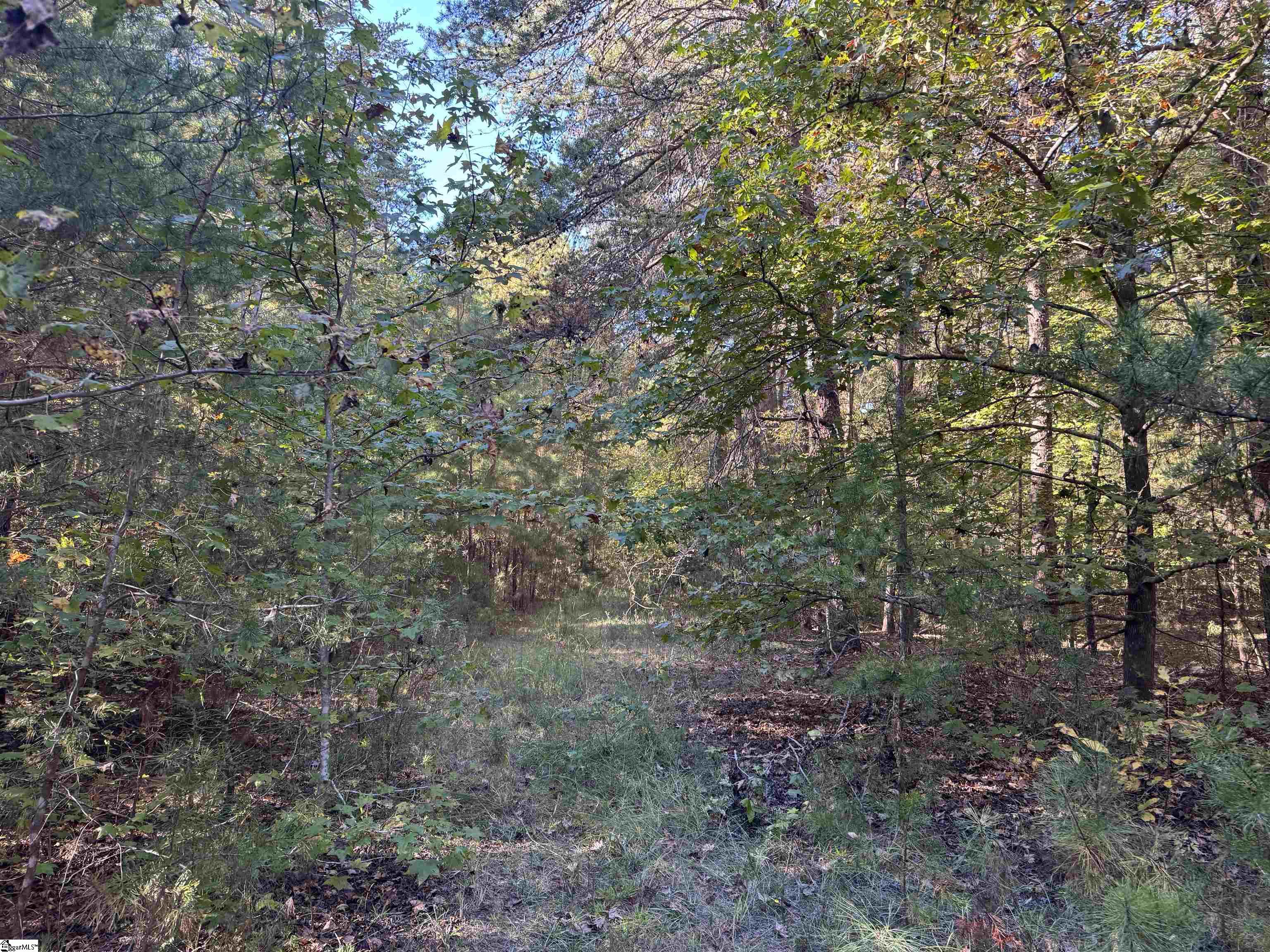 Homes for sale in Iva, SC | 4 Horseshoe Point Dr, Iva, SC 29655 | MLS# 1573026