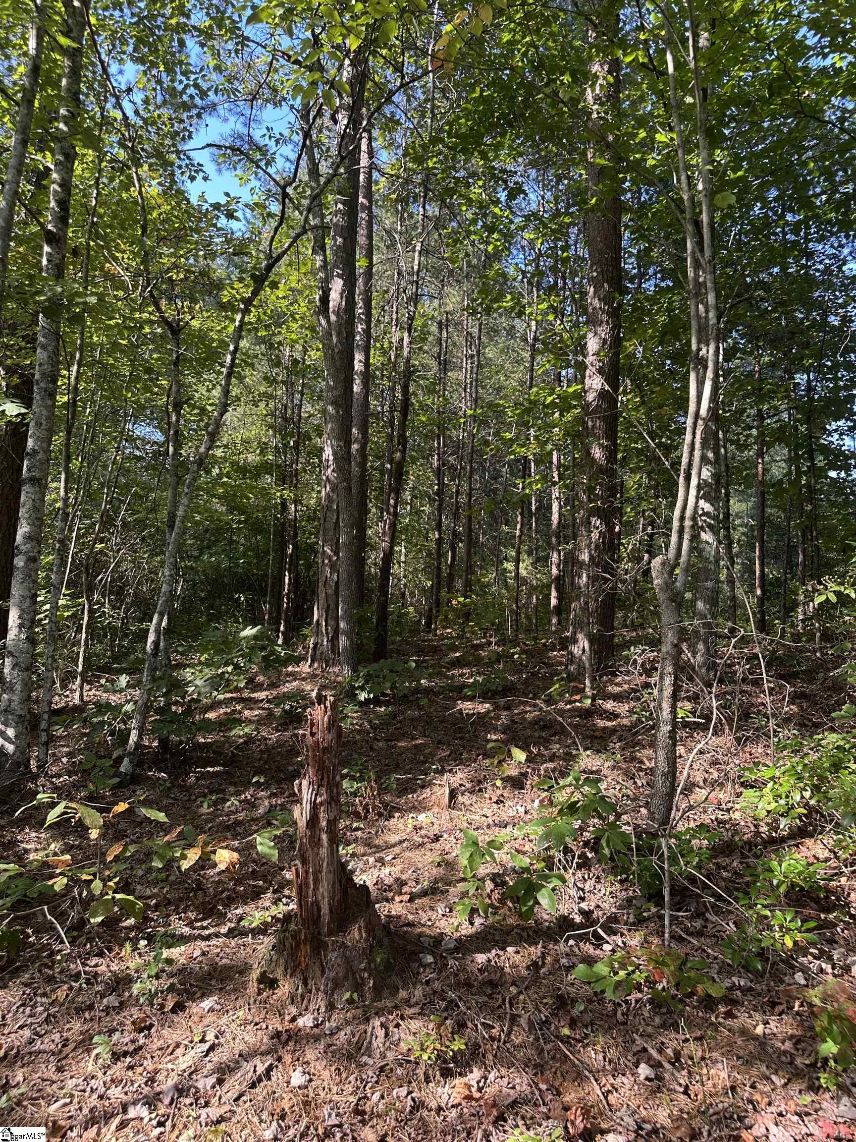 Homes for sale in Old Fort, NC | 00 Wildlife Lake Rd, Old Fort, NC 28762 | MLS# 1573047