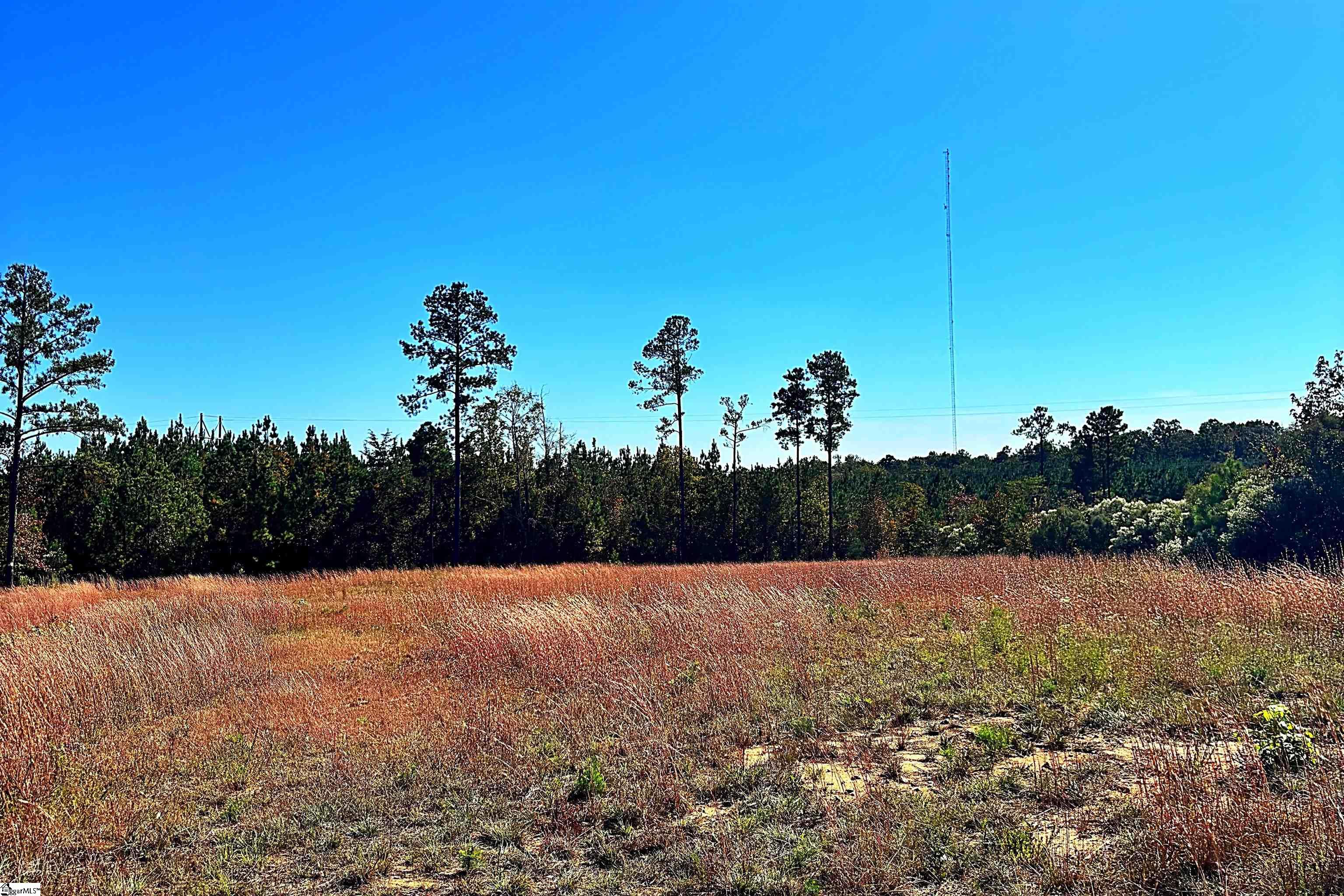Homes for sale in Waterloo, SC | 00 Riverfork Rd, Waterloo, SC 29384 | MLS# 1573153