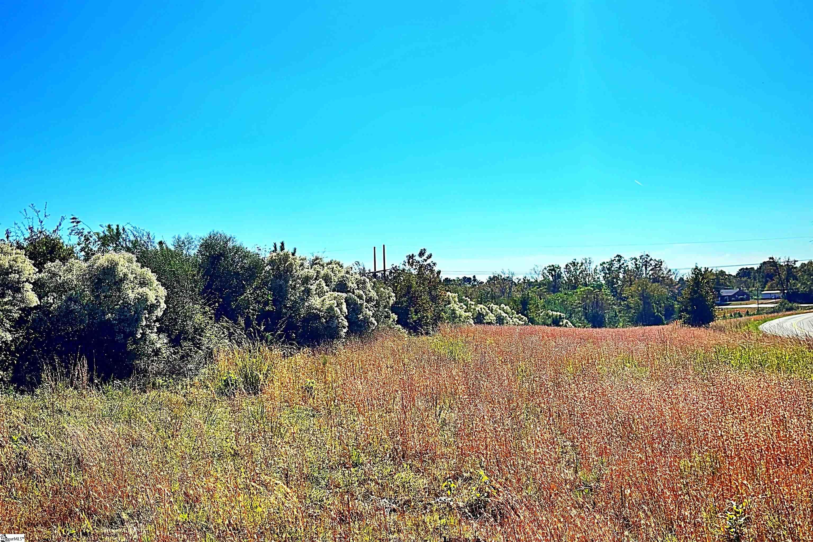 Homes for sale in Waterloo, SC | 00 Riverfork Rd, Waterloo, SC 29384 | MLS# 1573153